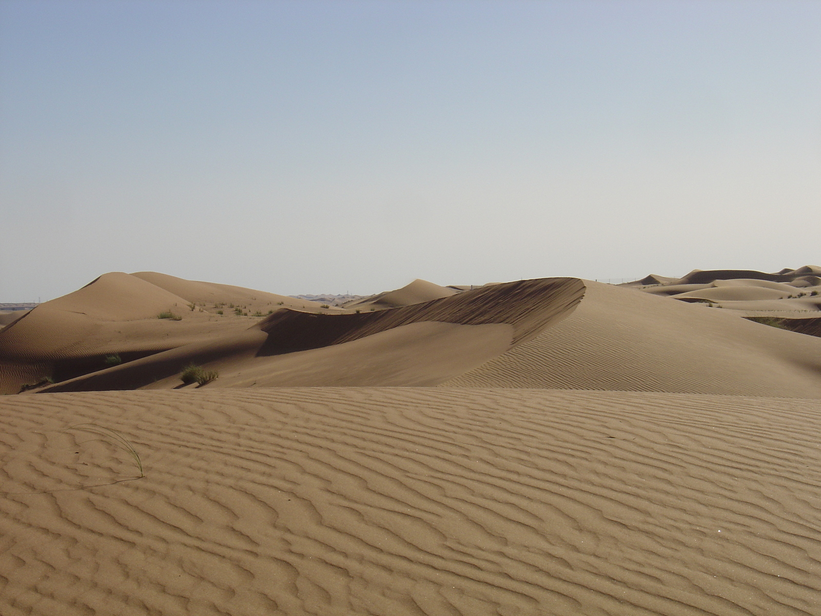 รูปถ่าย สหรัฐอาหรับเอมิเรตส์(United Arab Emirates) จากดูไบไปถนนอัลอิน(Dubai to Al Ain road) 2005-03 26