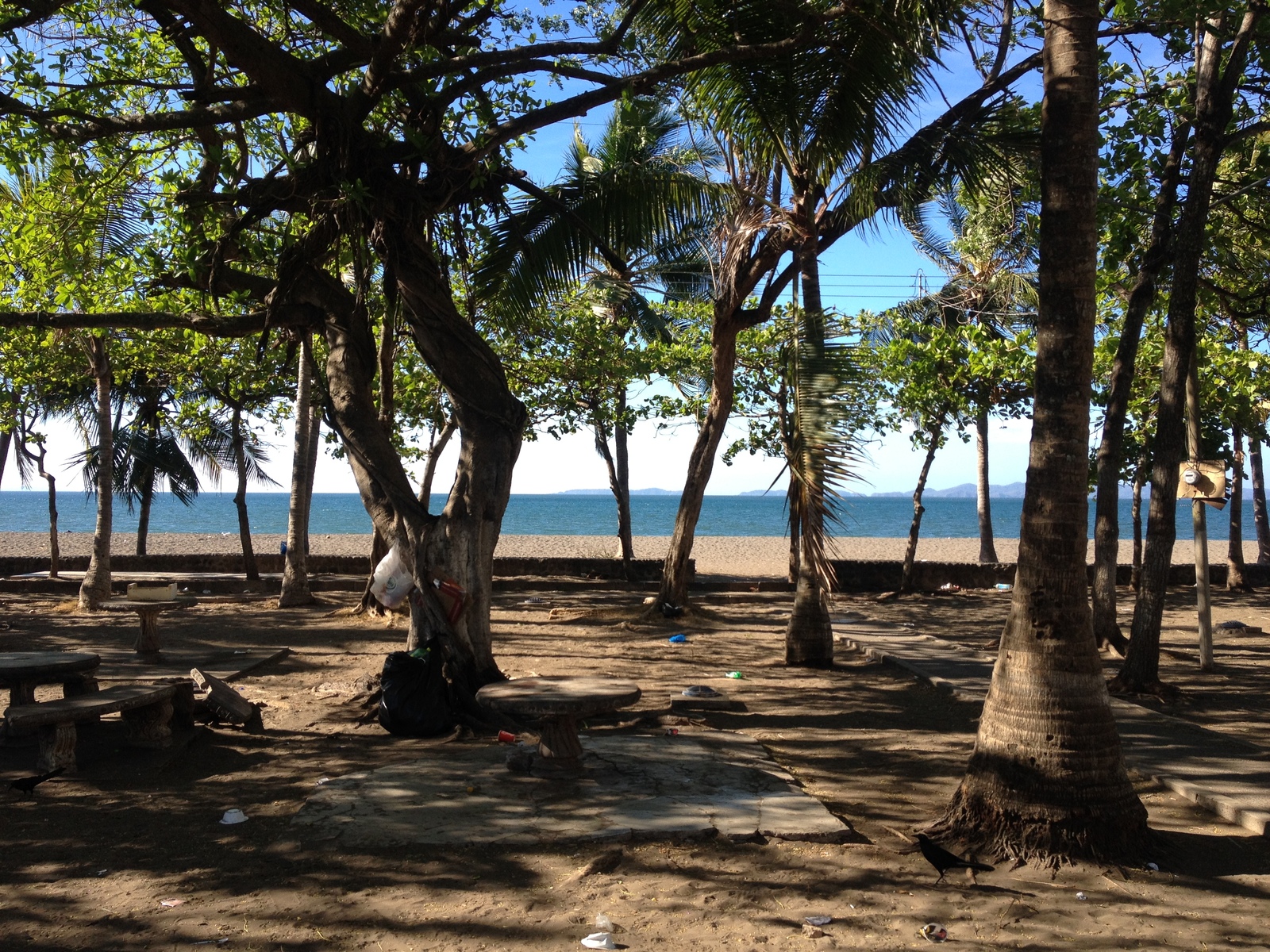 รูปถ่าย คอสตาริกา(Costa Rica) ปุนตาเรนัส(Puntarenas) 2015-03 158