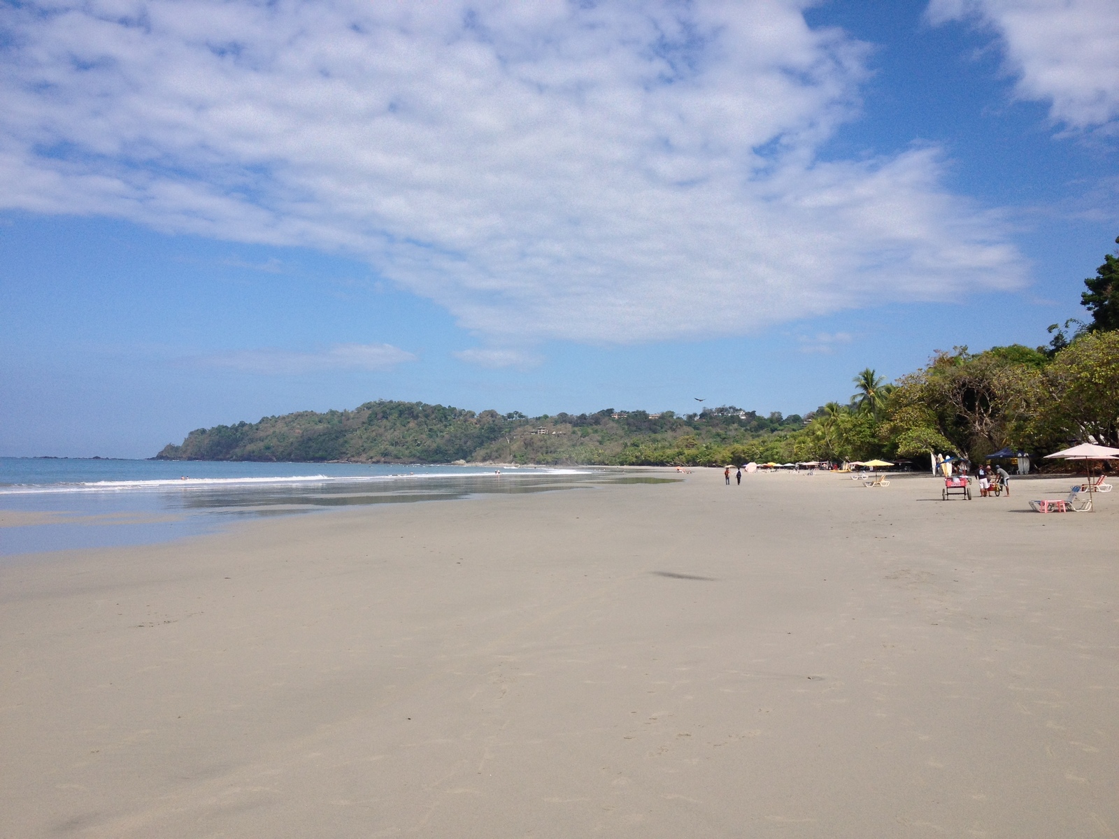 รูปถ่าย คอสตาริกา(Costa Rica) มานวยล์อันโตนีโอ(Manuel Antonio) 2015-03 464