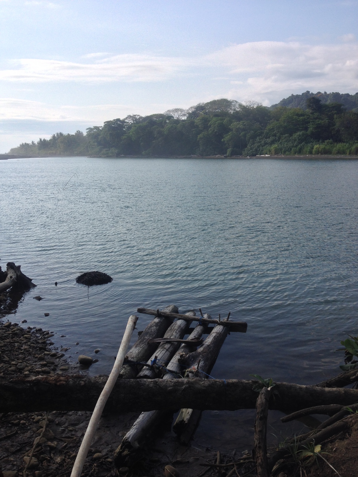 รูปถ่าย คอสตาริกา(Costa Rica) โดมินิกัล(Dominical) 2015-03 111