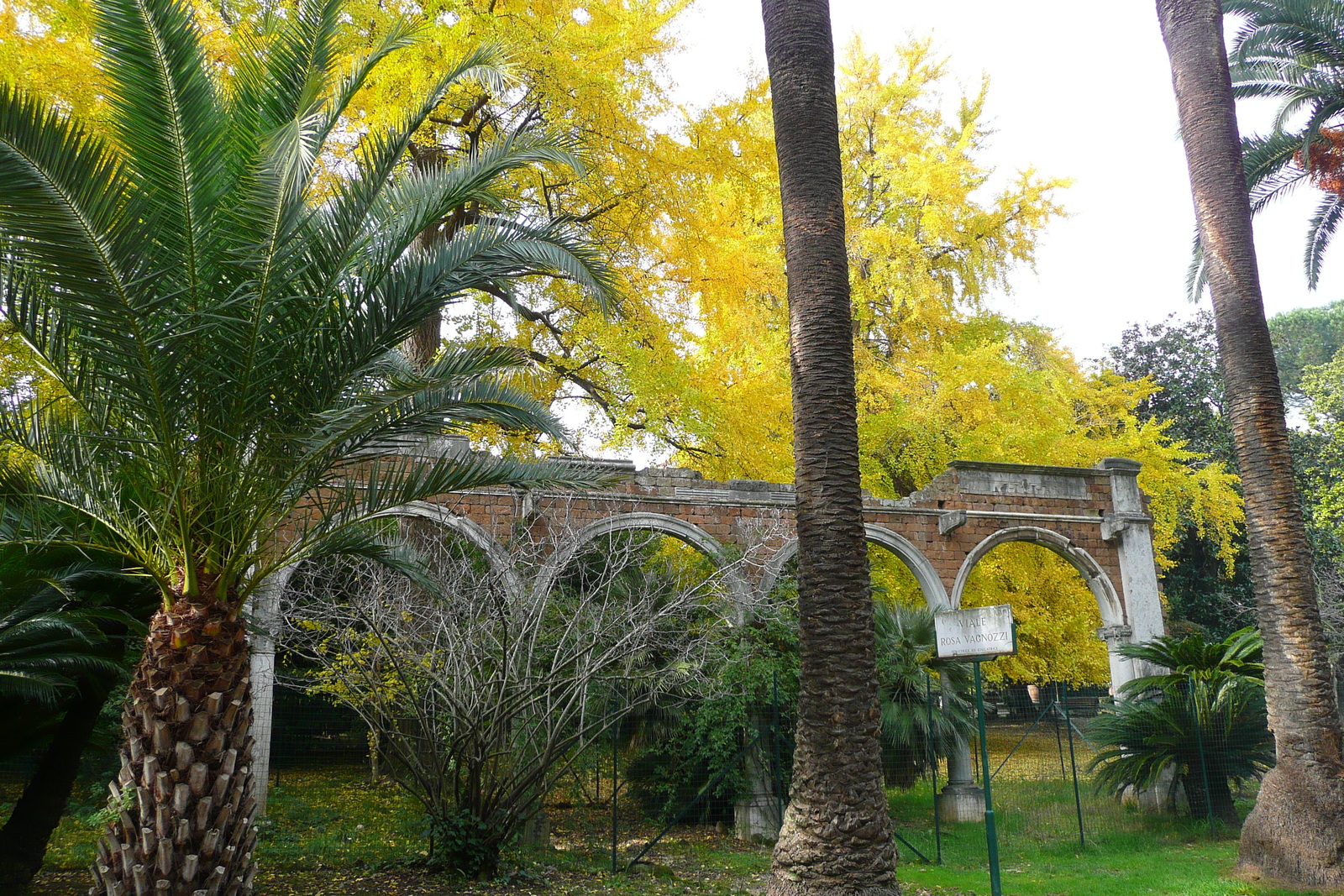 รูปถ่าย อิตาลี(Italy) โรม(Rome) วิลลาชาร์รา(Villa Sciarra) 2007-11 64