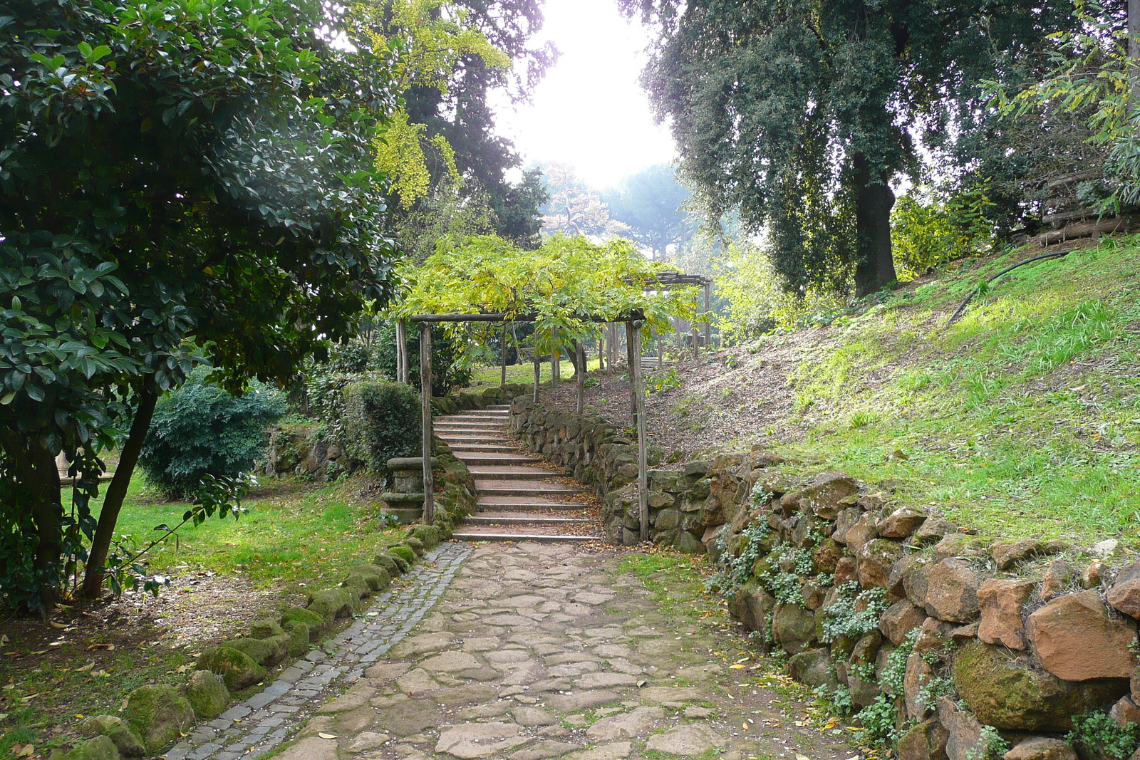 รูปถ่าย อิตาลี(Italy) โรม(Rome) วิลลาชาร์รา(Villa Sciarra) 2007-11 45