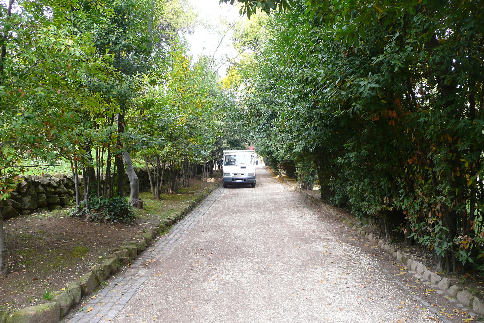 รูปถ่าย อิตาลี(Italy) โรม(Rome) วิลลาชาร์รา(Villa Sciarra) 2007-11 47