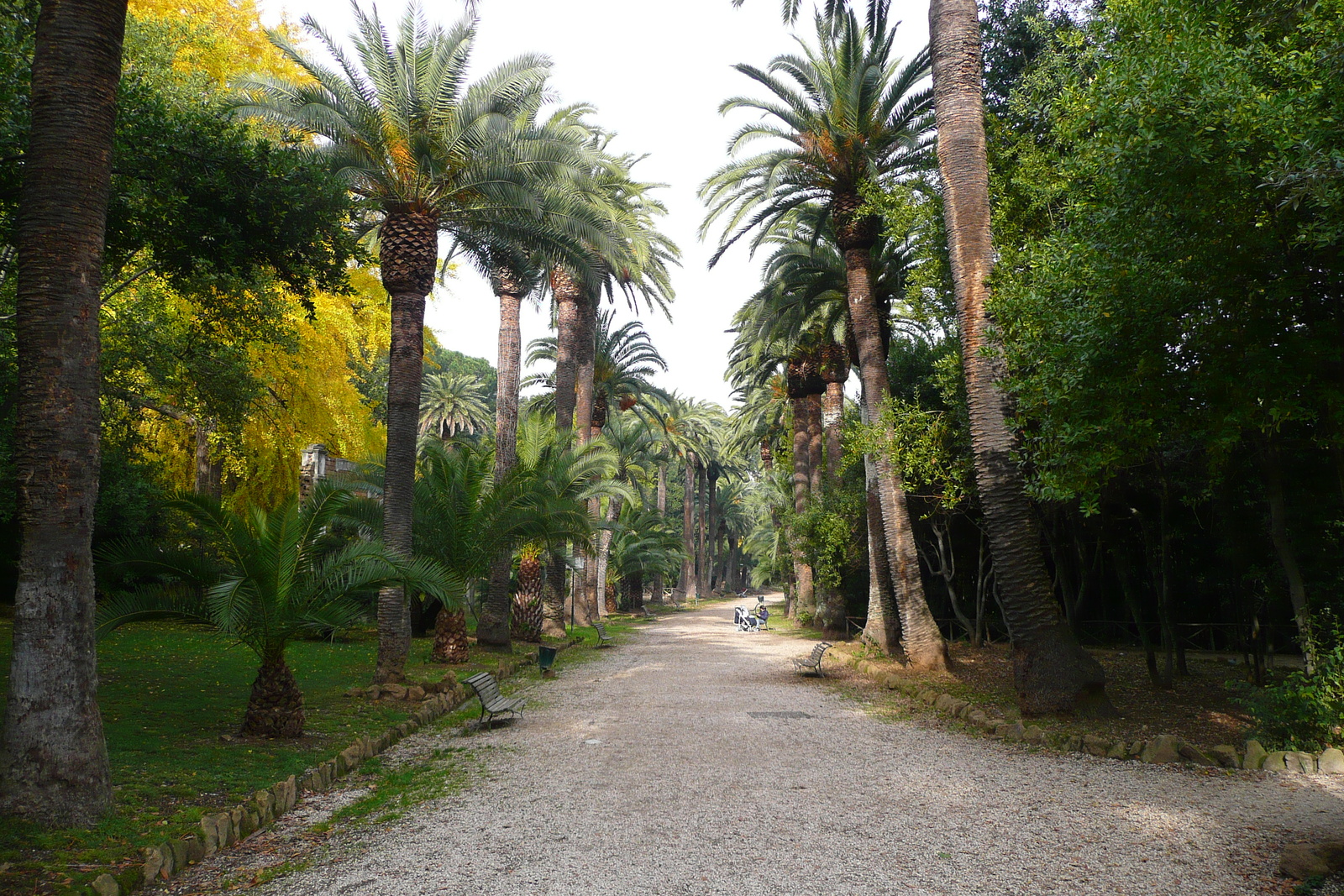 รูปถ่าย อิตาลี(Italy) โรม(Rome) วิลลาชาร์รา(Villa Sciarra) 2007-11 54