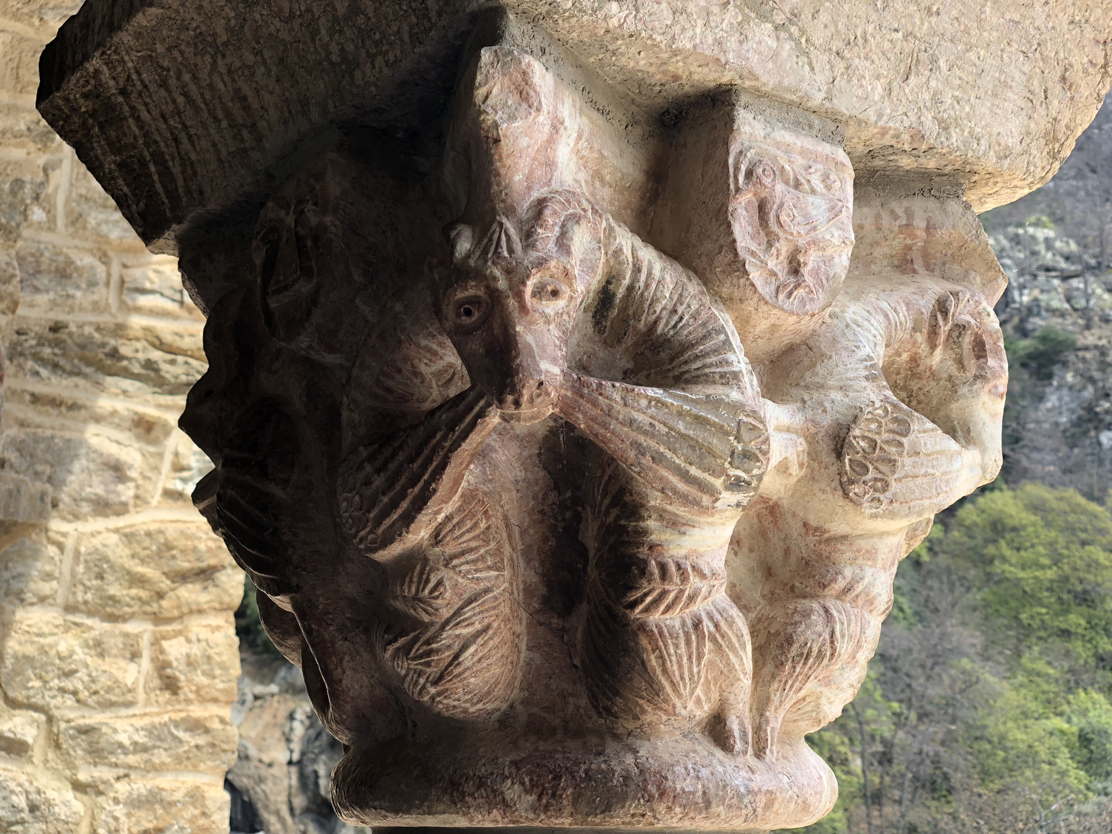 รูปถ่าย ฝรั่งเศส(France) แอบบีแซ็งมาร์แต็งดูกานีกู(Abbaye Saint Martin du Canigou) 2018-04 50