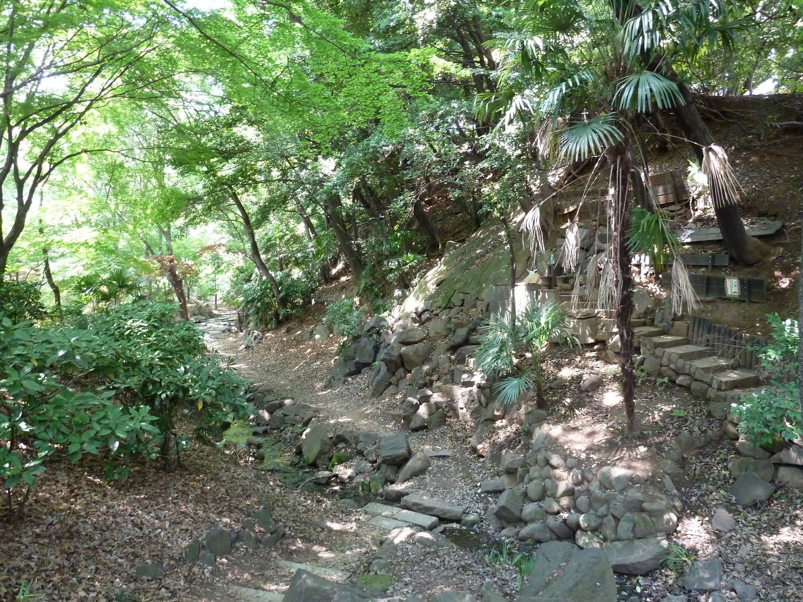 รูปถ่าย ญี่ปุ่น(Japan) โตเกียว(Tokyo) สวนชิบะ(Shiba Park) 2010-06 1