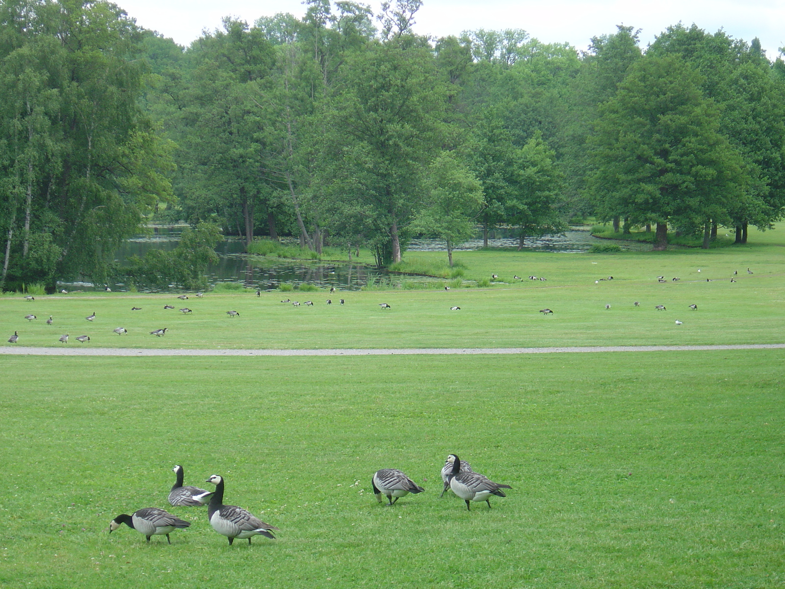 รูปถ่าย สวีเดน(Sweden) ดร็ทท์นิงโฮล์ม(Drottningholm) 2005-06 7