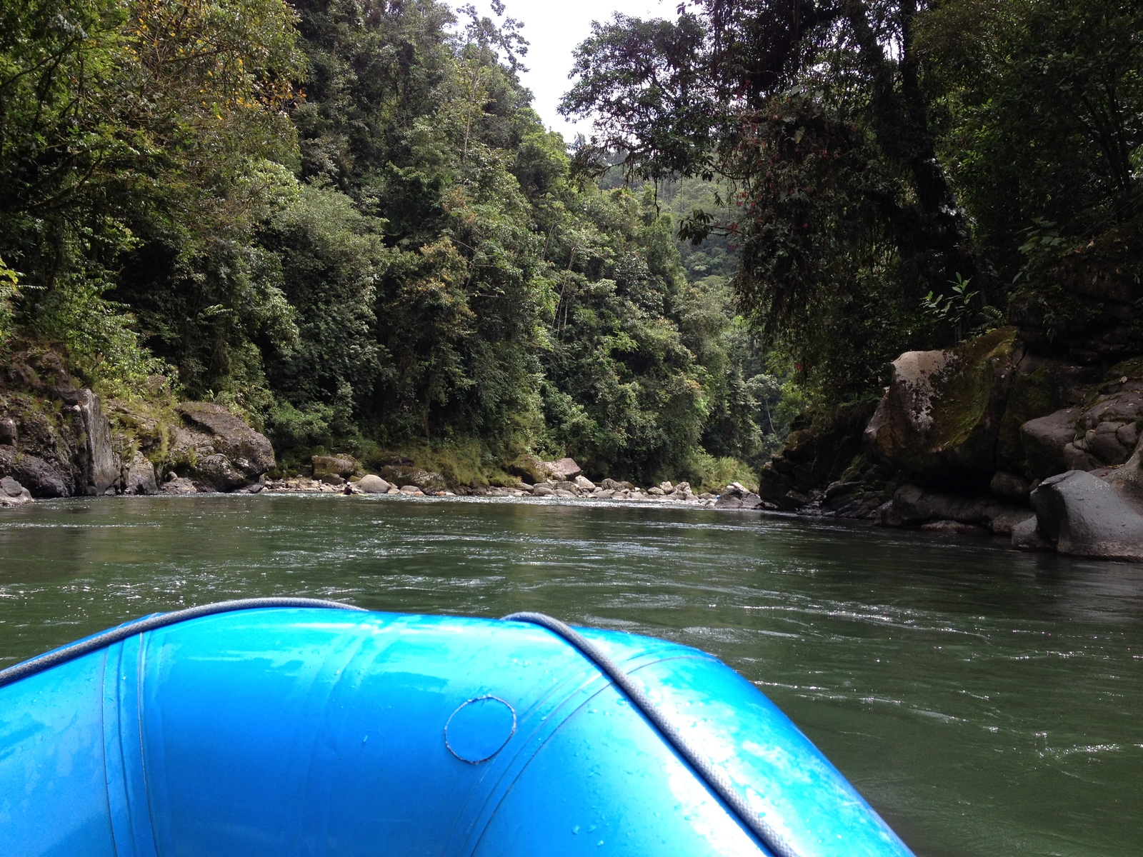 รูปถ่าย คอสตาริกา(Costa Rica) แม่น้ำปากัวเร(Pacuare River) 2015-03 180