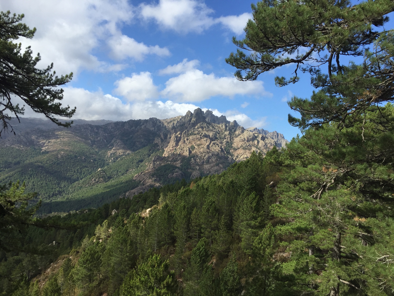 รูปถ่าย ฝรั่งเศส(France) คอร์สิคา(Corsica) ป่าลอสเปดาเล(L'ospedale Forest) 2017-09 5