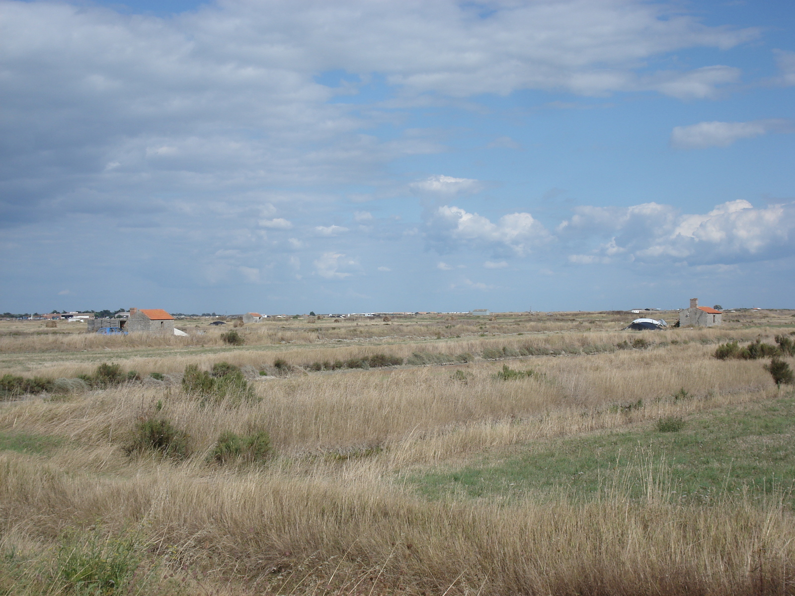 รูปถ่าย ฝรั่งเศส(France) นีวร์มูทีเย(Noirmoutier) 2006-08 12