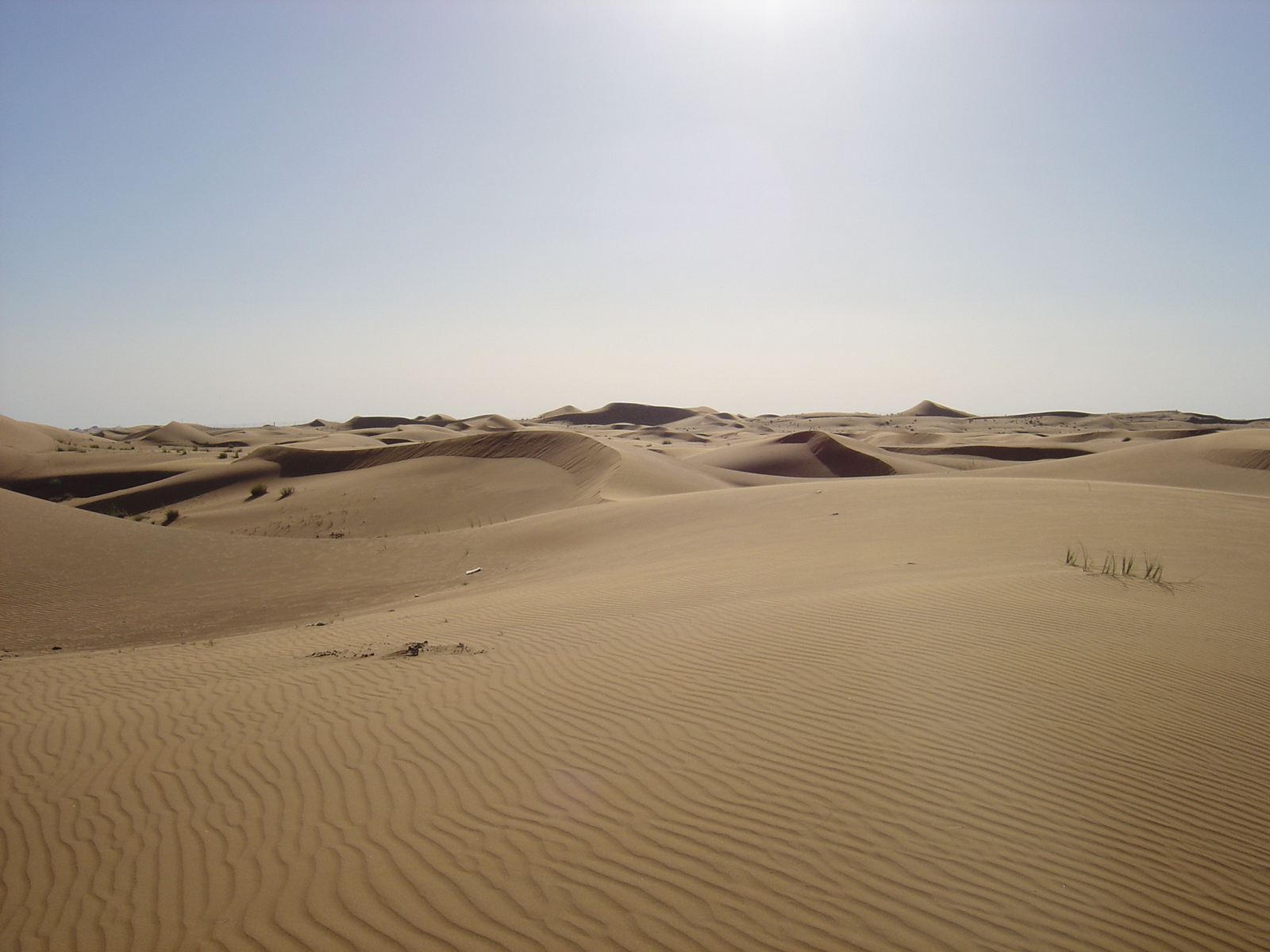 รูปถ่าย สหรัฐอาหรับเอมิเรตส์(United Arab Emirates) จากดูไบไปถนนอัลอิน(Dubai to Al Ain road) 2005-03 20
