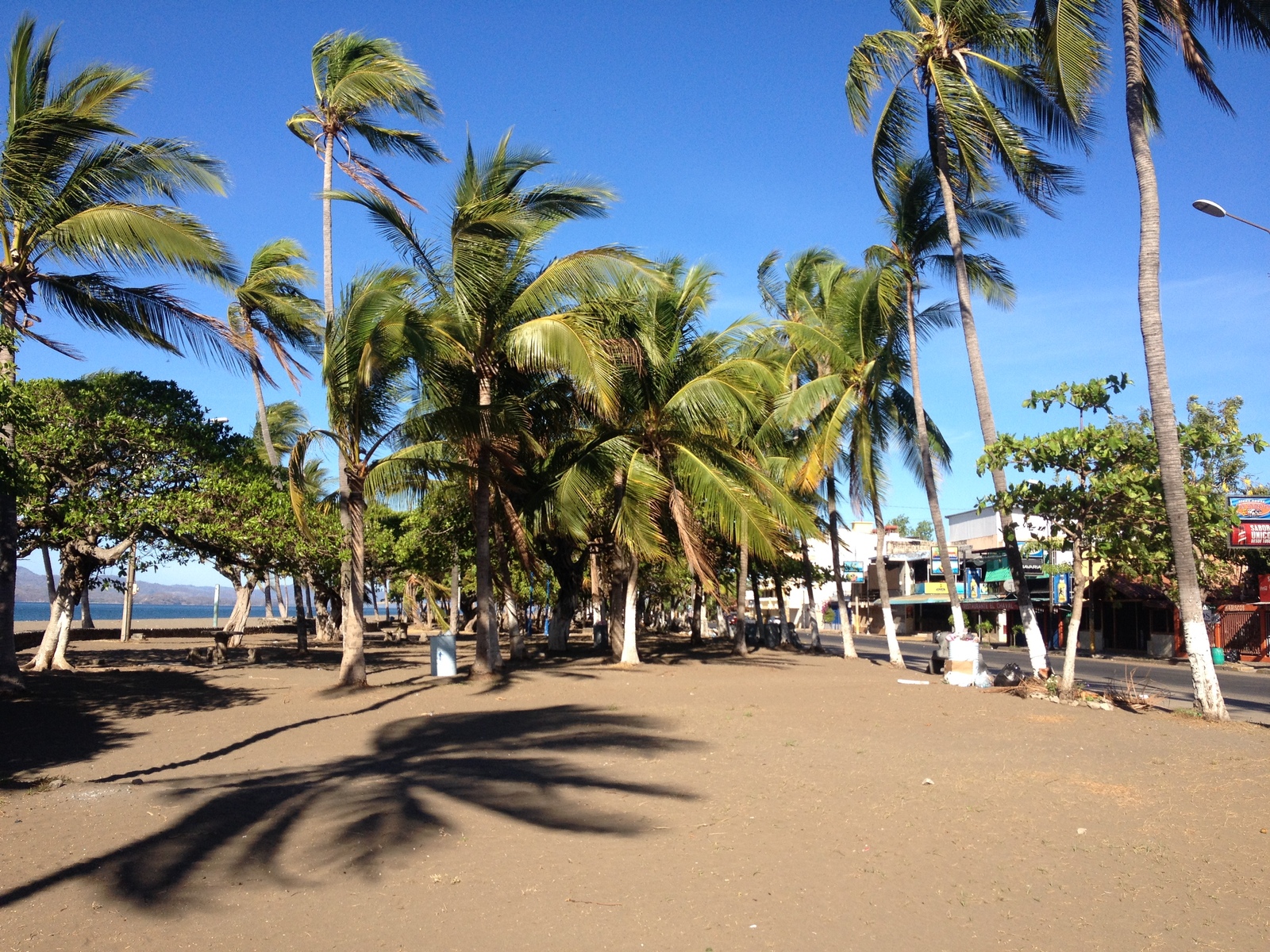 รูปถ่าย คอสตาริกา(Costa Rica) ปุนตาเรนัส(Puntarenas) 2015-03 14