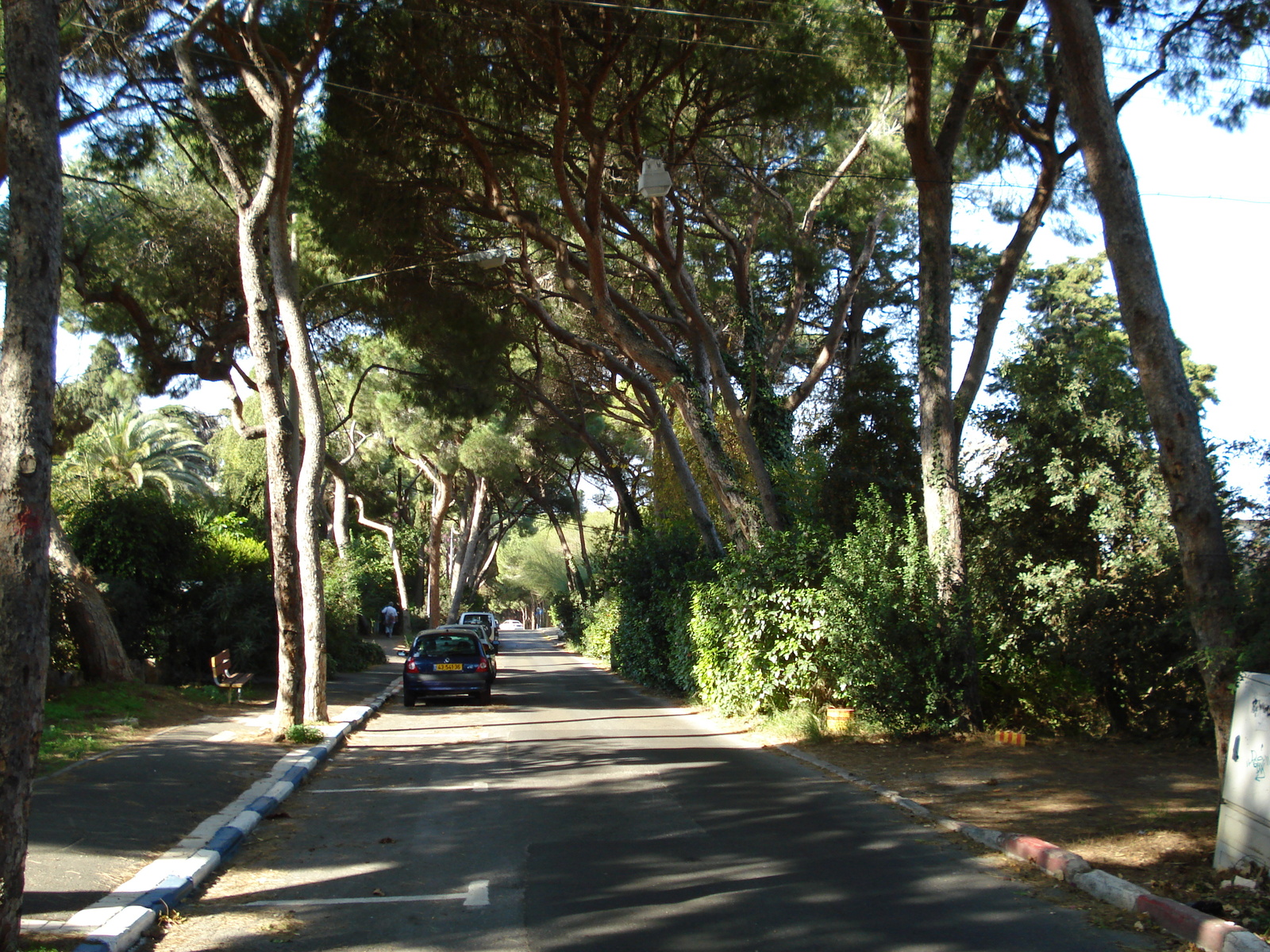 รูปถ่าย อิสราเอล(Israel) ไฮฟา(Haifa) คาร์เมล(Carmel) 2006-12 60