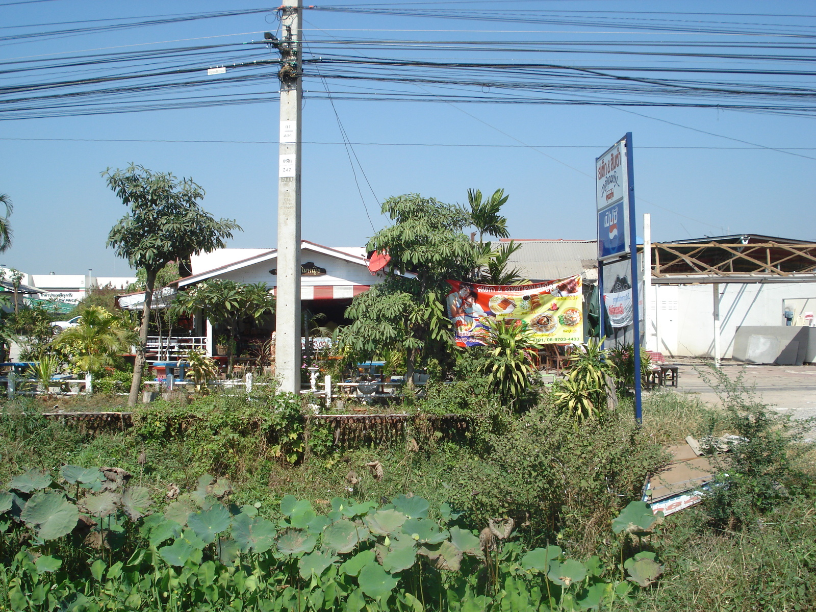 รูปถ่าย ไทย(Thailand) พิษณุโลก(Phitsanulok) ถนนมิตรภาพ(Mittraparp Road) 2008-01 22