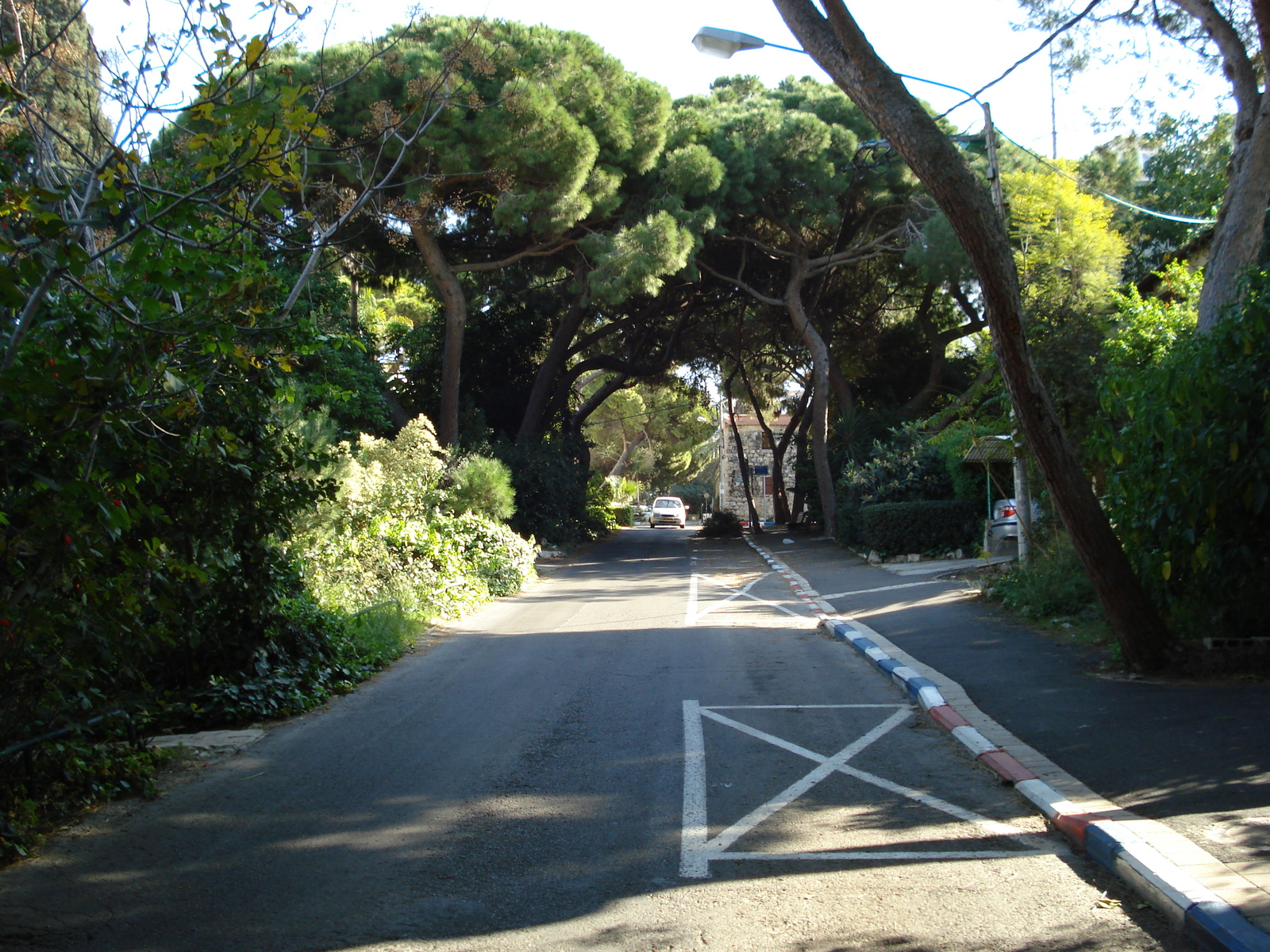 รูปถ่าย อิสราเอล(Israel) ไฮฟา(Haifa) คาร์เมล(Carmel) 2006-12 24