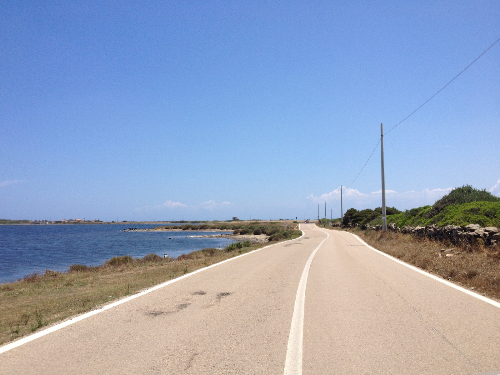 รูปถ่าย อิตาลี(Italy) ซาร์ดิเนีย(Sardinia) แหลมกาโปเดลฟัลโกเน(Capo del Falcone) 2015-06 64
