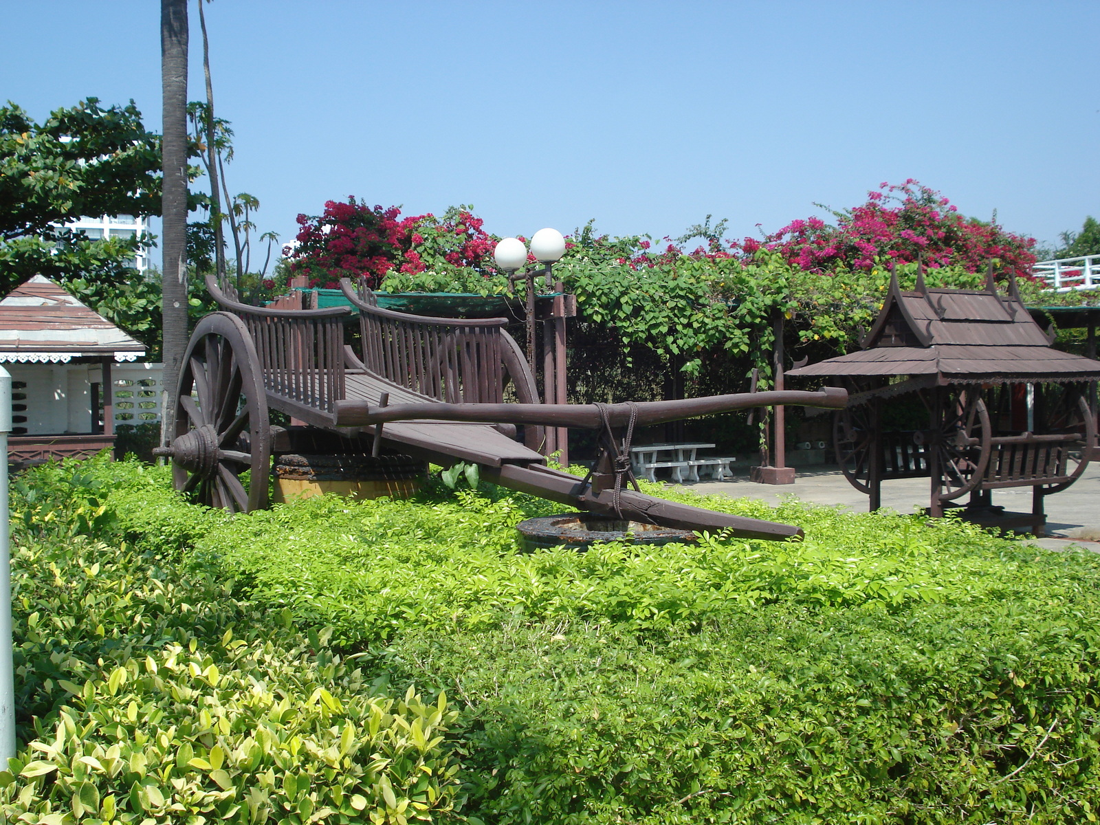 รูปถ่าย ไทย(Thailand) จอมเทียน(Jomtien) ริมทะเลจอมเทียน(Jomtien Seashore) 2008-01 187