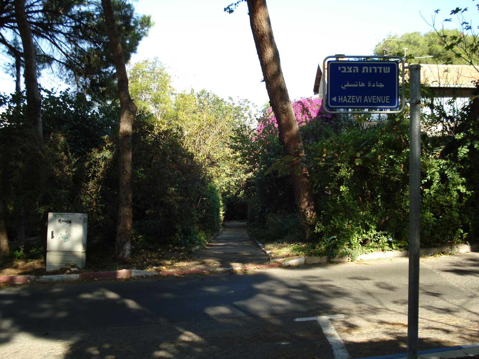 รูปถ่าย อิสราเอล(Israel) ไฮฟา(Haifa) คาร์เมล(Carmel) 2006-12 29