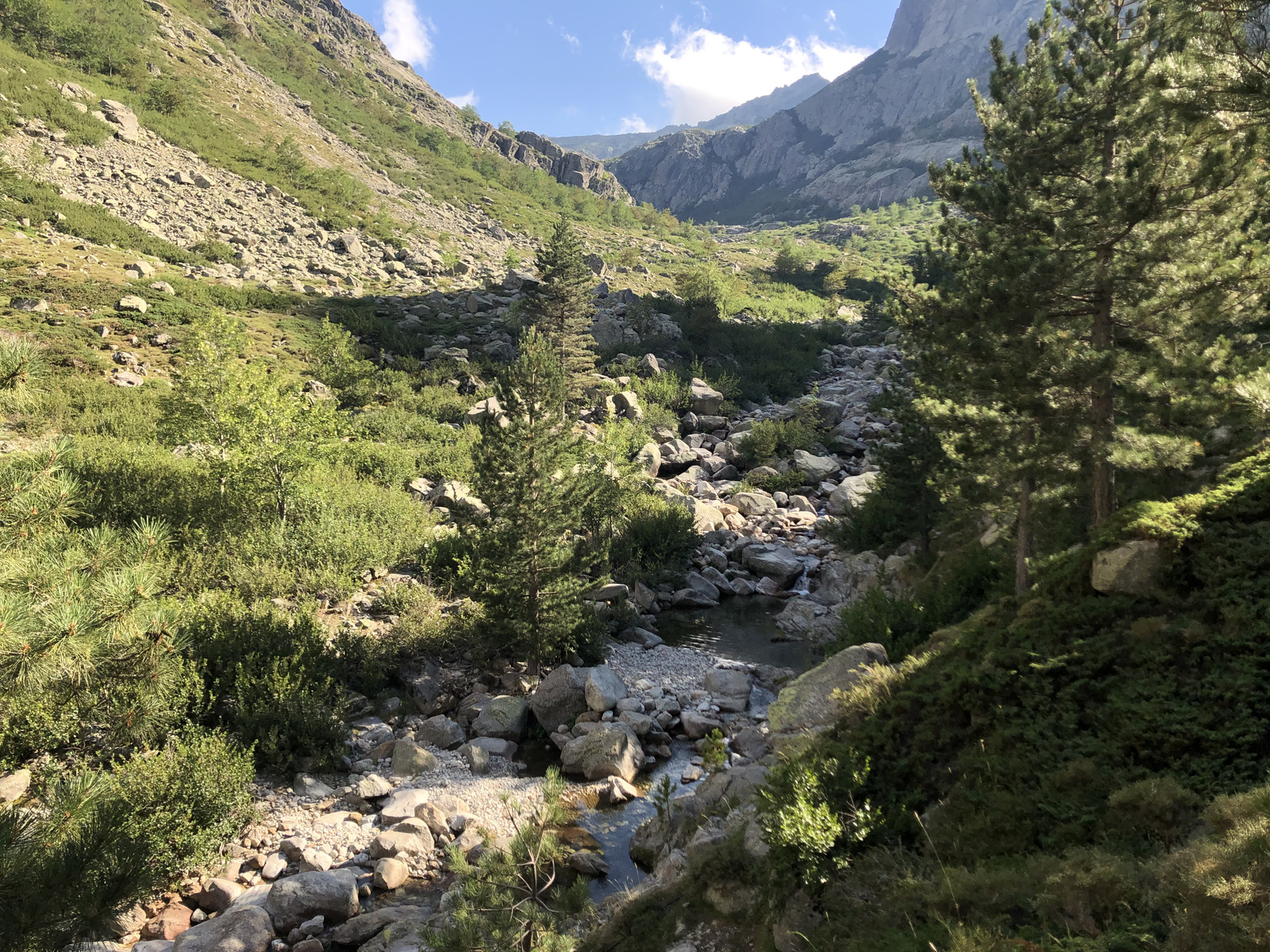 รูปถ่าย ฝรั่งเศส(France) คอร์สิคา(Corsica) หุบเขาลาเรสโตนีกา(La Restonica) 2020-07 43