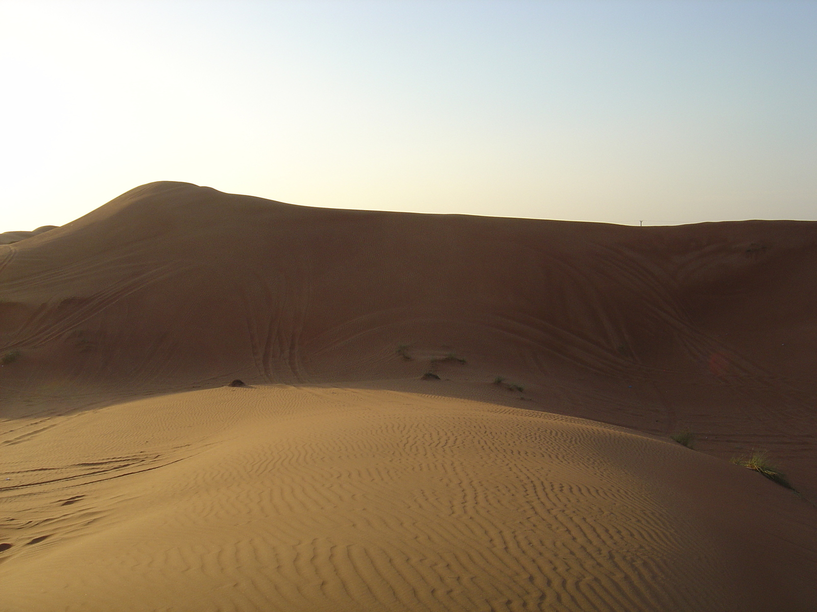 รูปถ่าย สหรัฐอาหรับเอมิเรตส์(United Arab Emirates) อาเลอิน(Al Ain) ทะเล(Desert) 2005-11 23