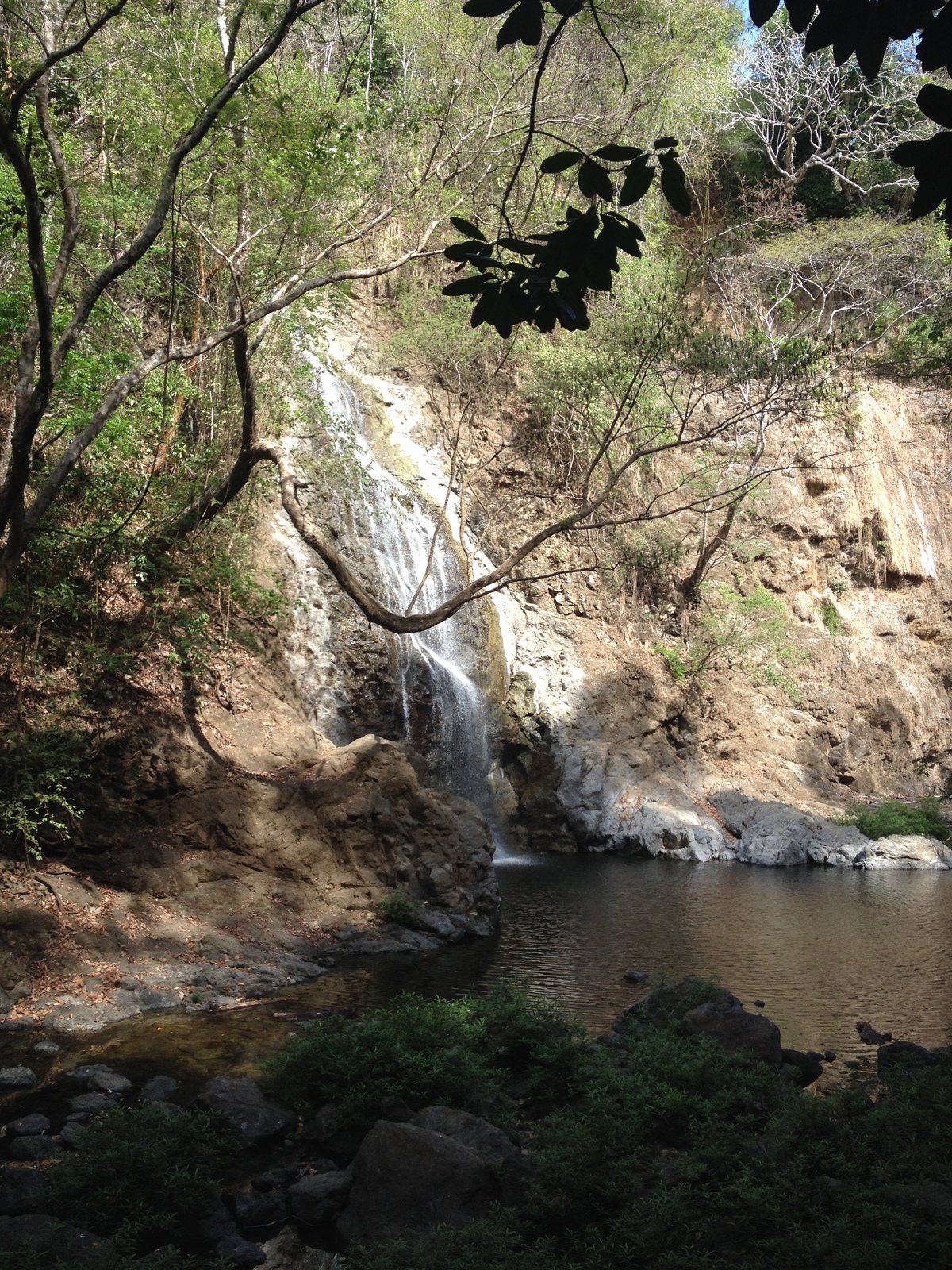 รูปถ่าย คอสตาริกา(Costa Rica) มอนเตซูมา(Montezuma) 2015-03 285