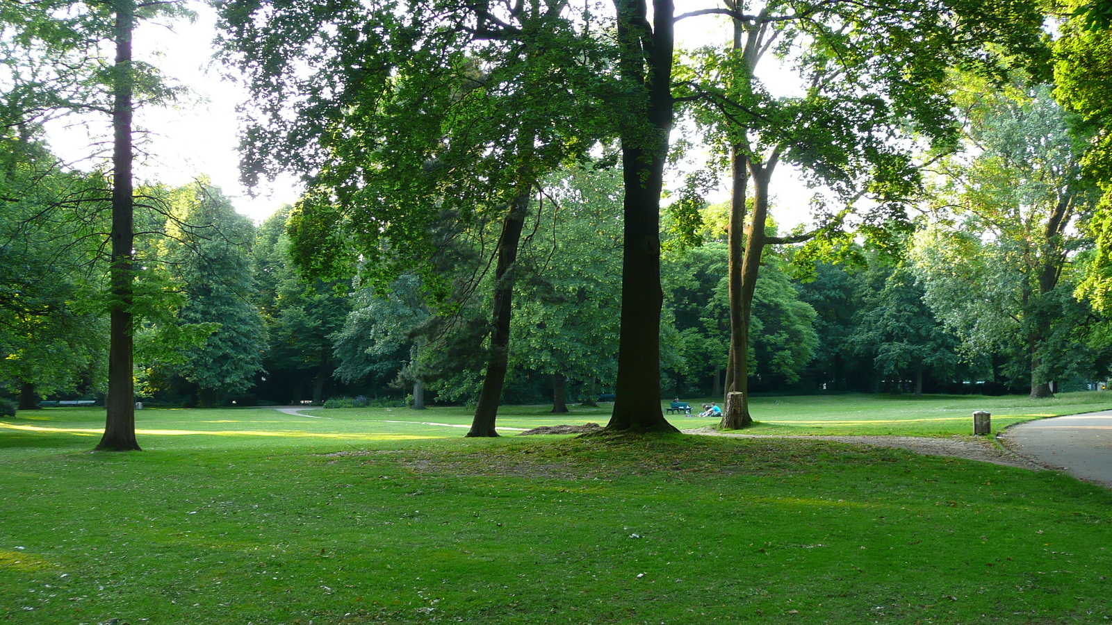 รูปถ่าย เยอรมนี(Germany) ดัสเซลดอร์ฟ(Dusseldorf) 2007-05 169