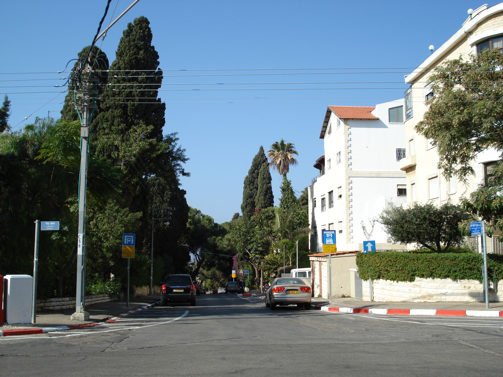 รูปถ่าย อิสราเอล(Israel) ไฮฟา(Haifa) คาร์เมล(Carmel) 2006-12 19