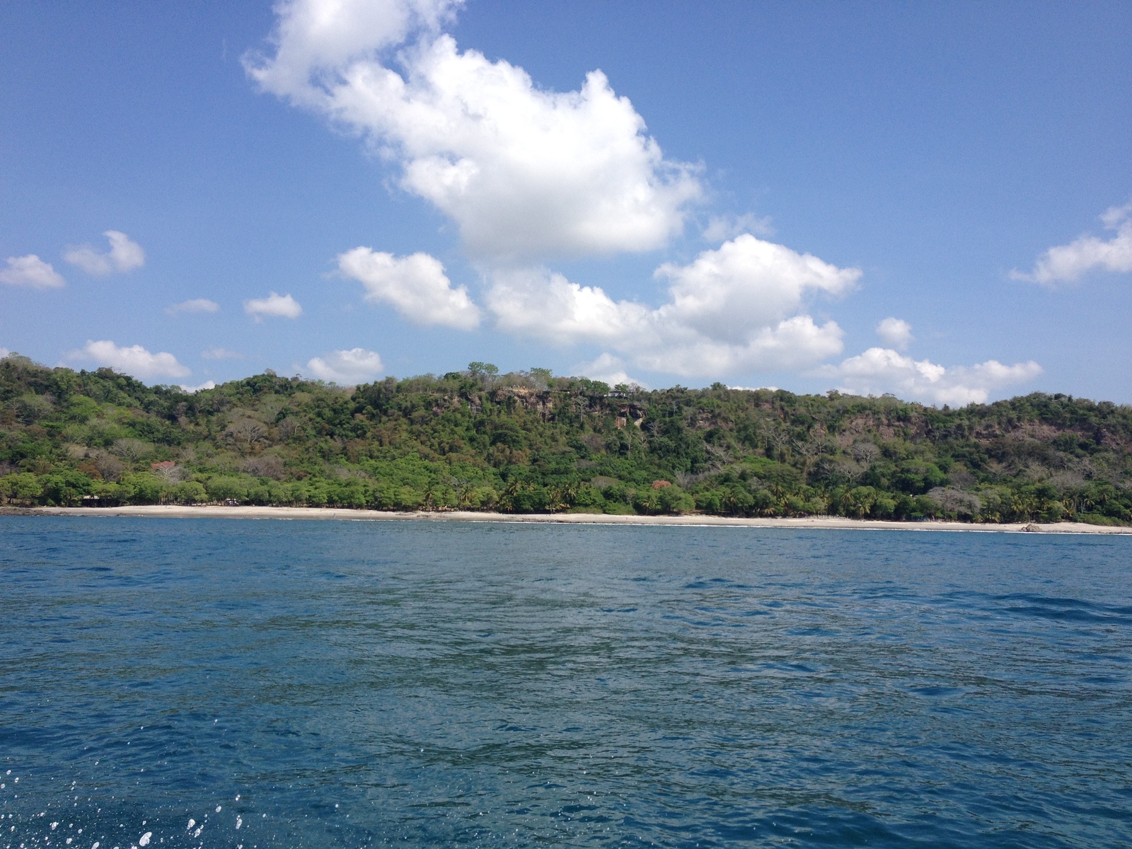 รูปถ่าย คอสตาริกา(Costa Rica) มอนเตซูมา(Montezuma) 2015-03 319