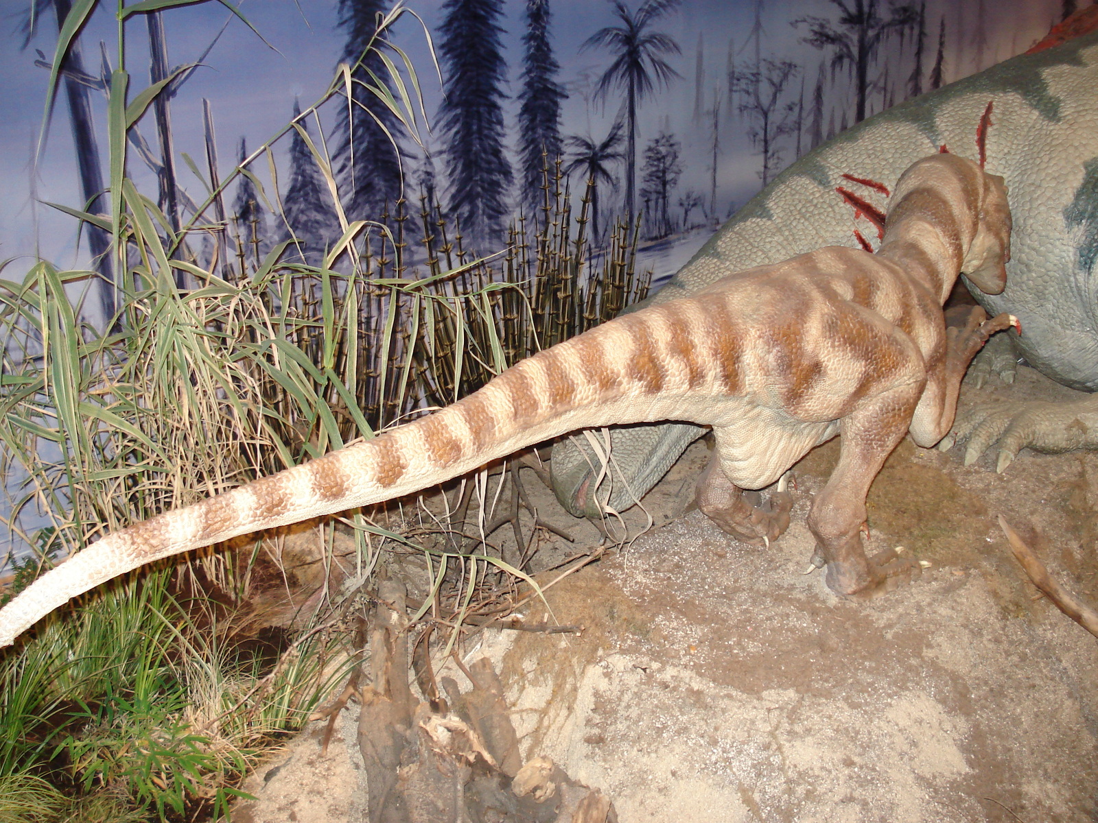 รูปถ่าย ฝรั่งเศส(France) ปารีส(Paris) ปาเลเดอลาเดกูแวร์ต(Palace of Discovery) 2006-04 58
