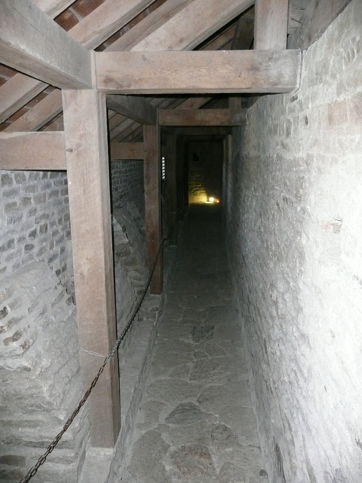 รูปถ่าย ฝรั่งเศส(France) ซืสซีนีโอ(Suscinio) ปราสาทซูซีนีโอ(Suscinio Castle) 2007-09 155
