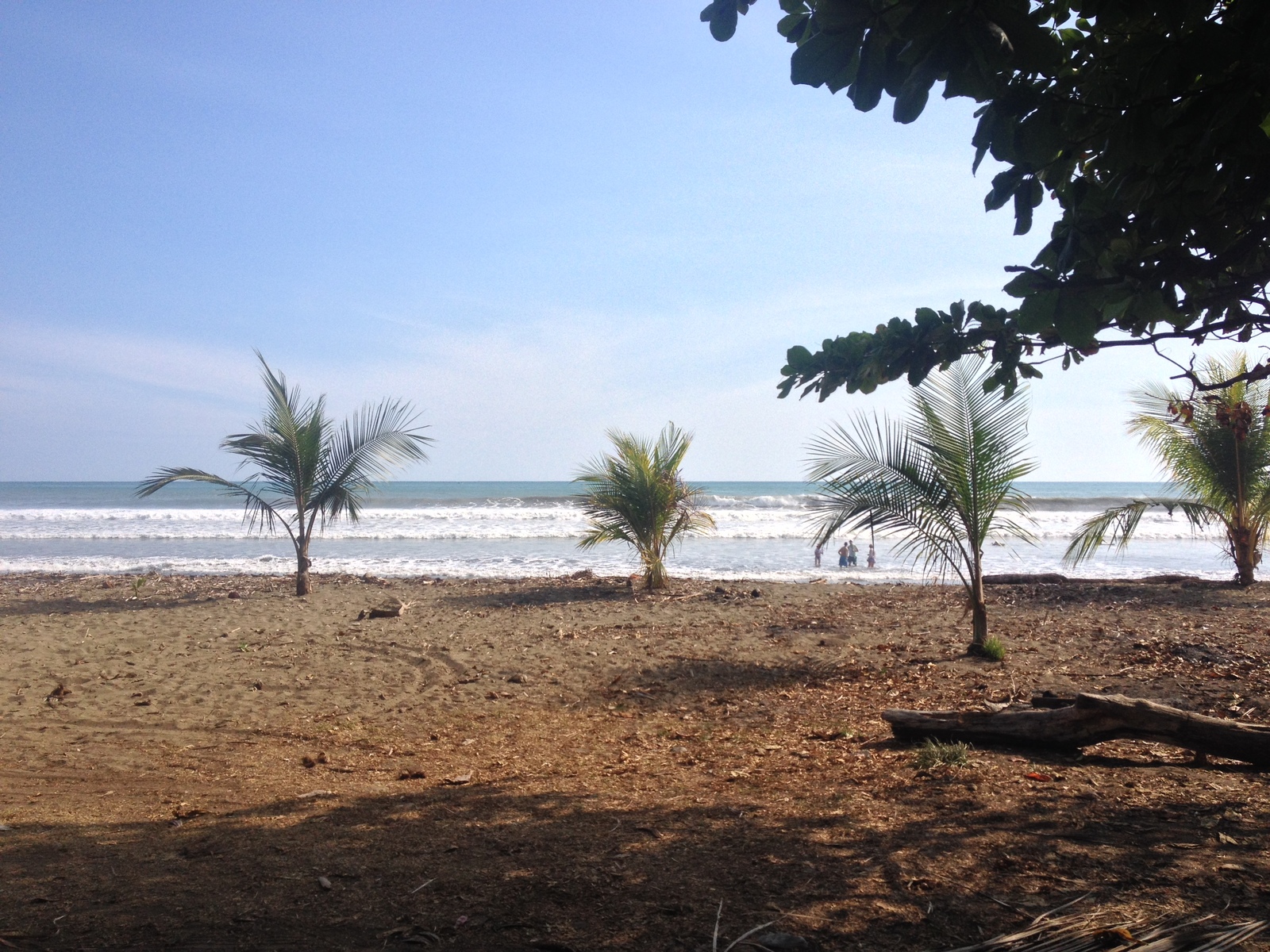 รูปถ่าย คอสตาริกา(Costa Rica) โดมินิกัล(Dominical) 2015-03 35