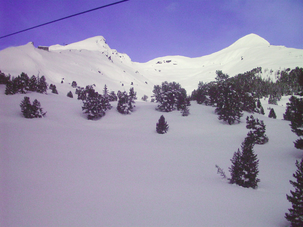 รูปถ่าย สวิสเซอร์แลนด์(Switzerland) กรินเดลวัลด์(Grindelwald) 1999-04 8