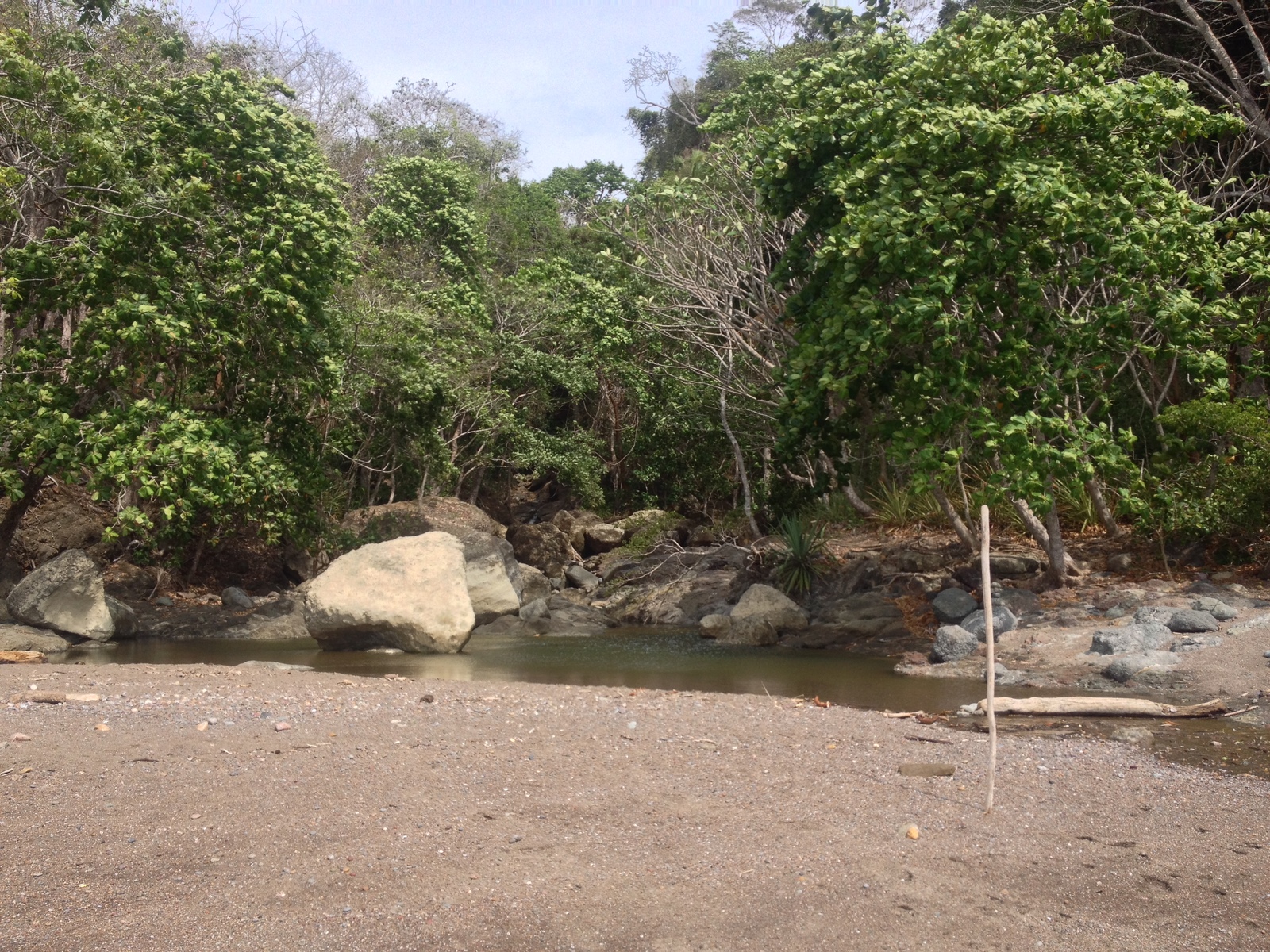 รูปถ่าย คอสตาริกา(Costa Rica) มอนเตซูมา(Montezuma) 2015-03 8