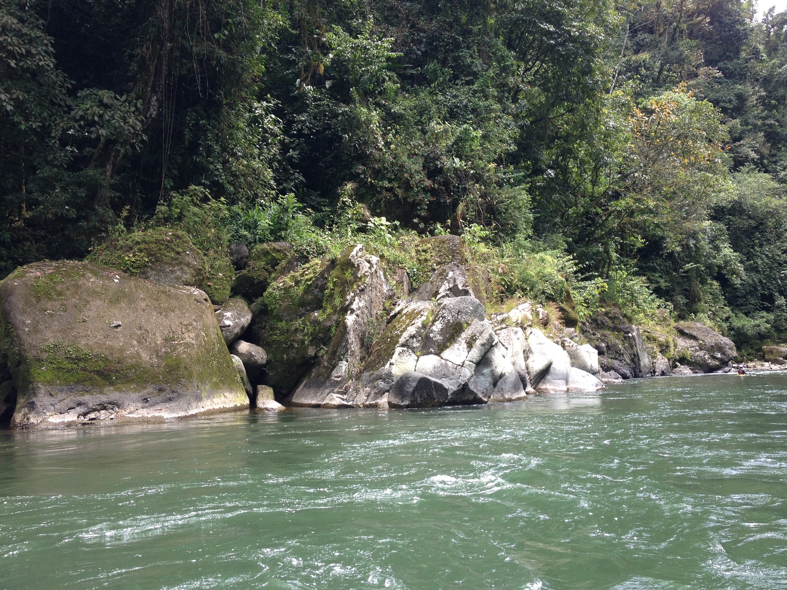 รูปถ่าย คอสตาริกา(Costa Rica) แม่น้ำปากัวเร(Pacuare River) 2015-03 190