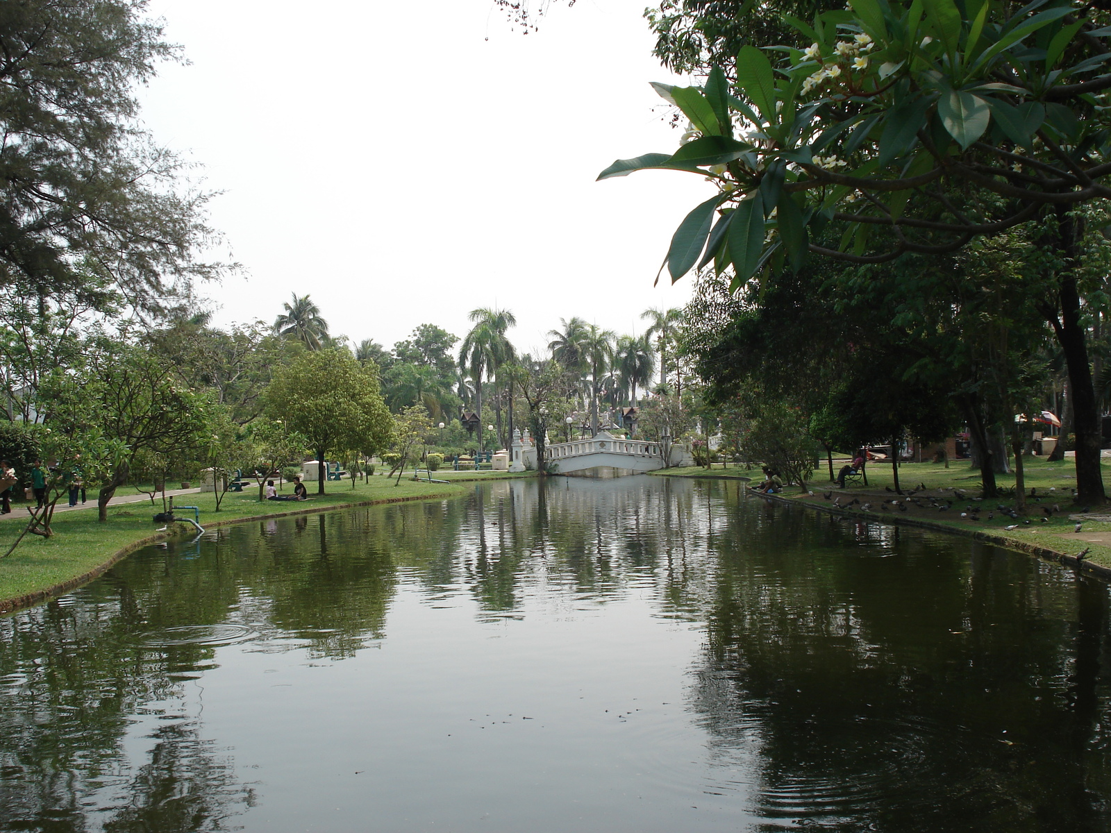 รูปถ่าย ไทย(Thailand) เชียงใหม่(Chiang Mai) ข้างในคุเมืองเชียงใหม่(Inside Canal) สวนบวกหาด(Buak Had Park) 2006-04 0