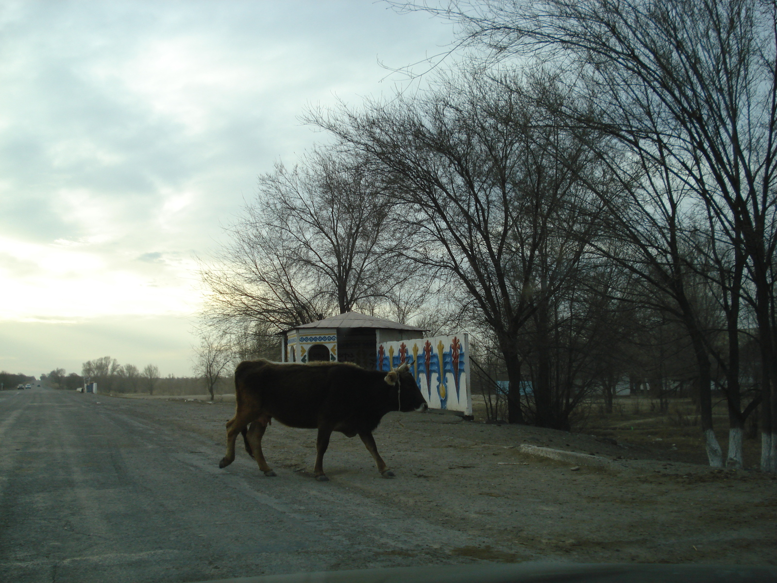 รูปถ่าย คาซัคสถาน(Kazakhstan) ถนนจากอัลมาตีไปหุบผาชารึน(Almaty to Charyn Canyon road) 2007-03 90
