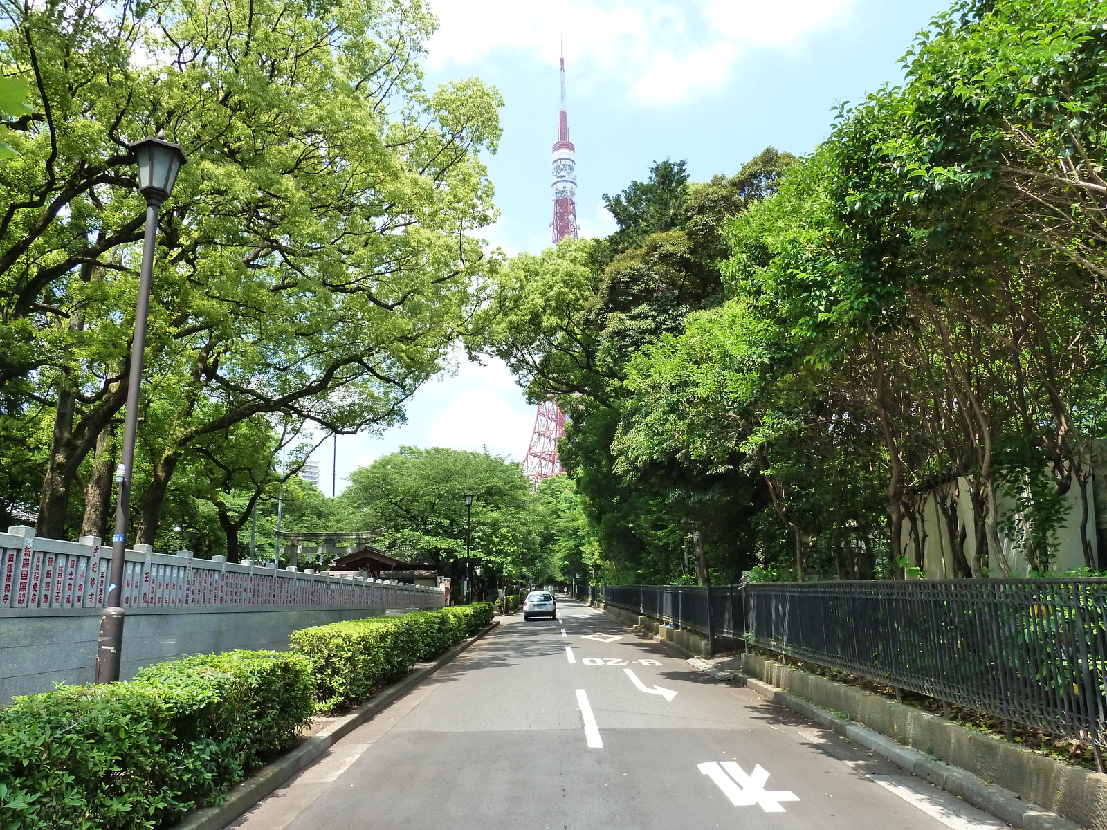 รูปถ่าย ญี่ปุ่น(Japan) โตเกียว(Tokyo) สวนชิบะ(Shiba Park) 2010-06 10