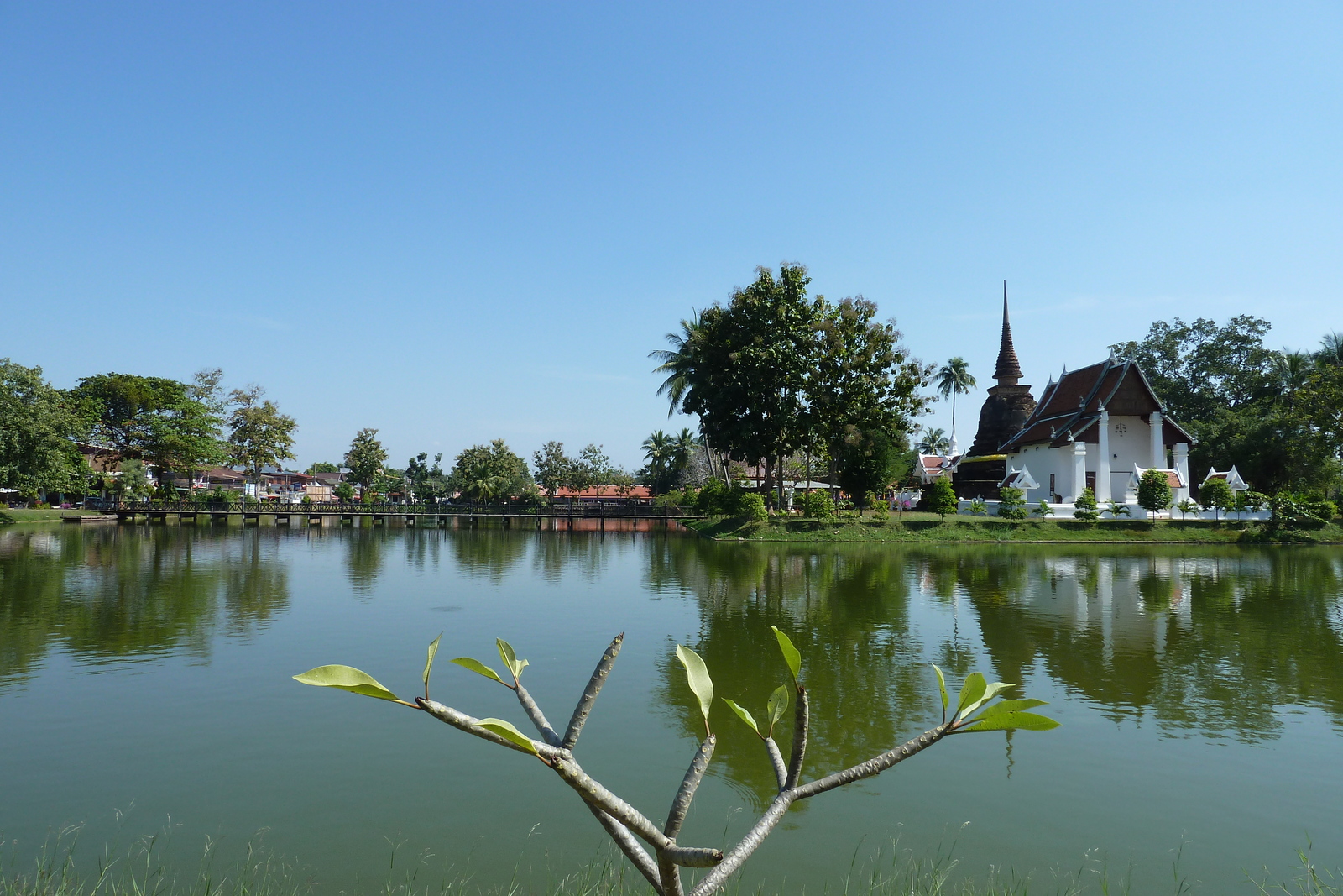รูปถ่าย ไทย(Thailand) สุโขทัย(Sukhothai) 2010-12 131