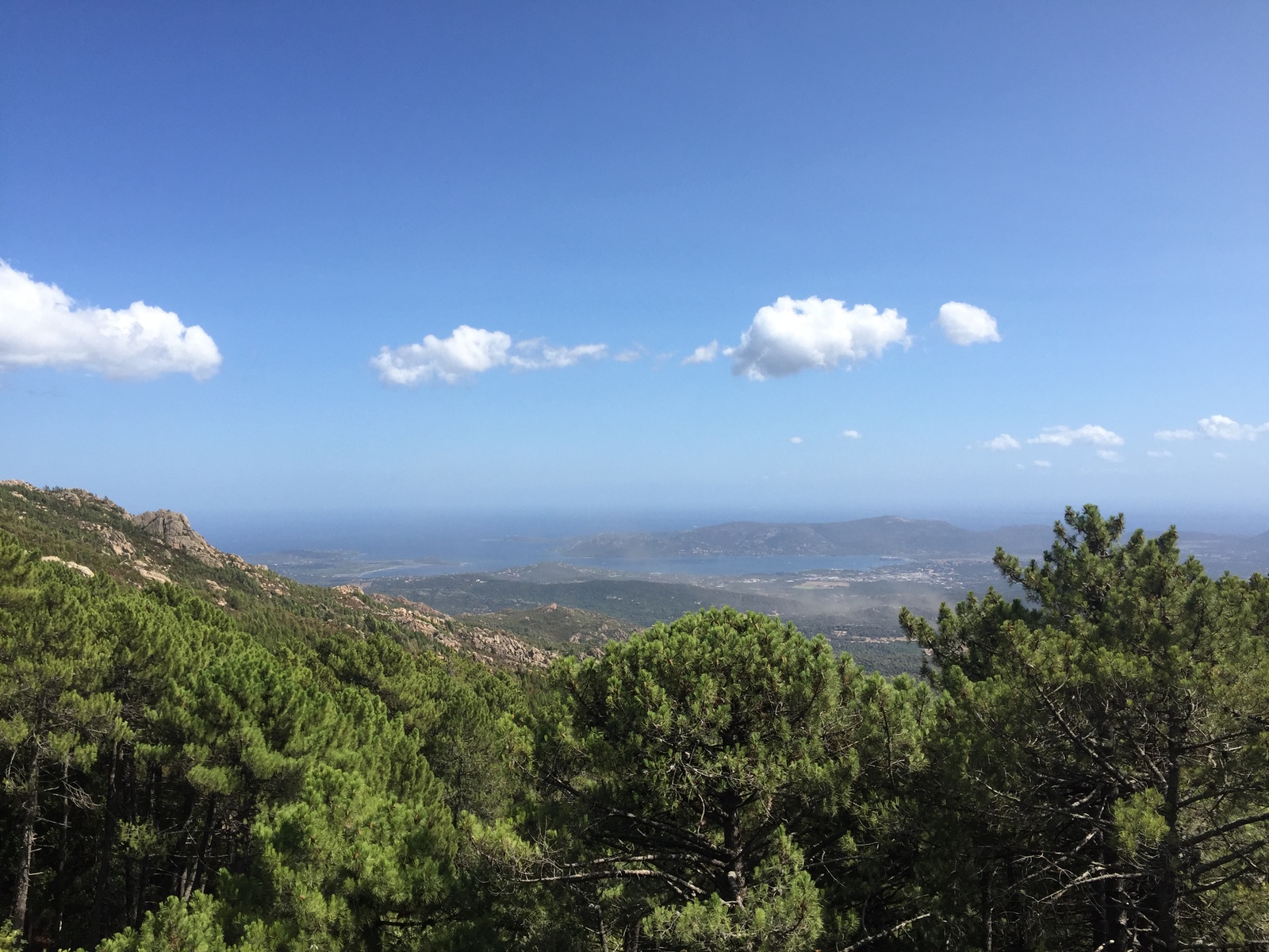 รูปถ่าย ฝรั่งเศส(France) คอร์สิคา(Corsica) ป่าลอสเปดาเล(L'ospedale Forest) 2017-09 10