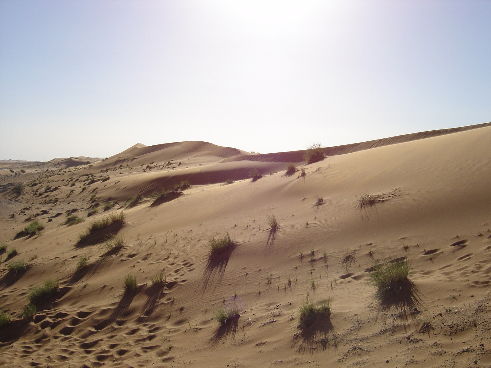 รูปถ่าย สหรัฐอาหรับเอมิเรตส์(United Arab Emirates) จากดูไบไปถนนอัลอิน(Dubai to Al Ain road) 2005-03 18