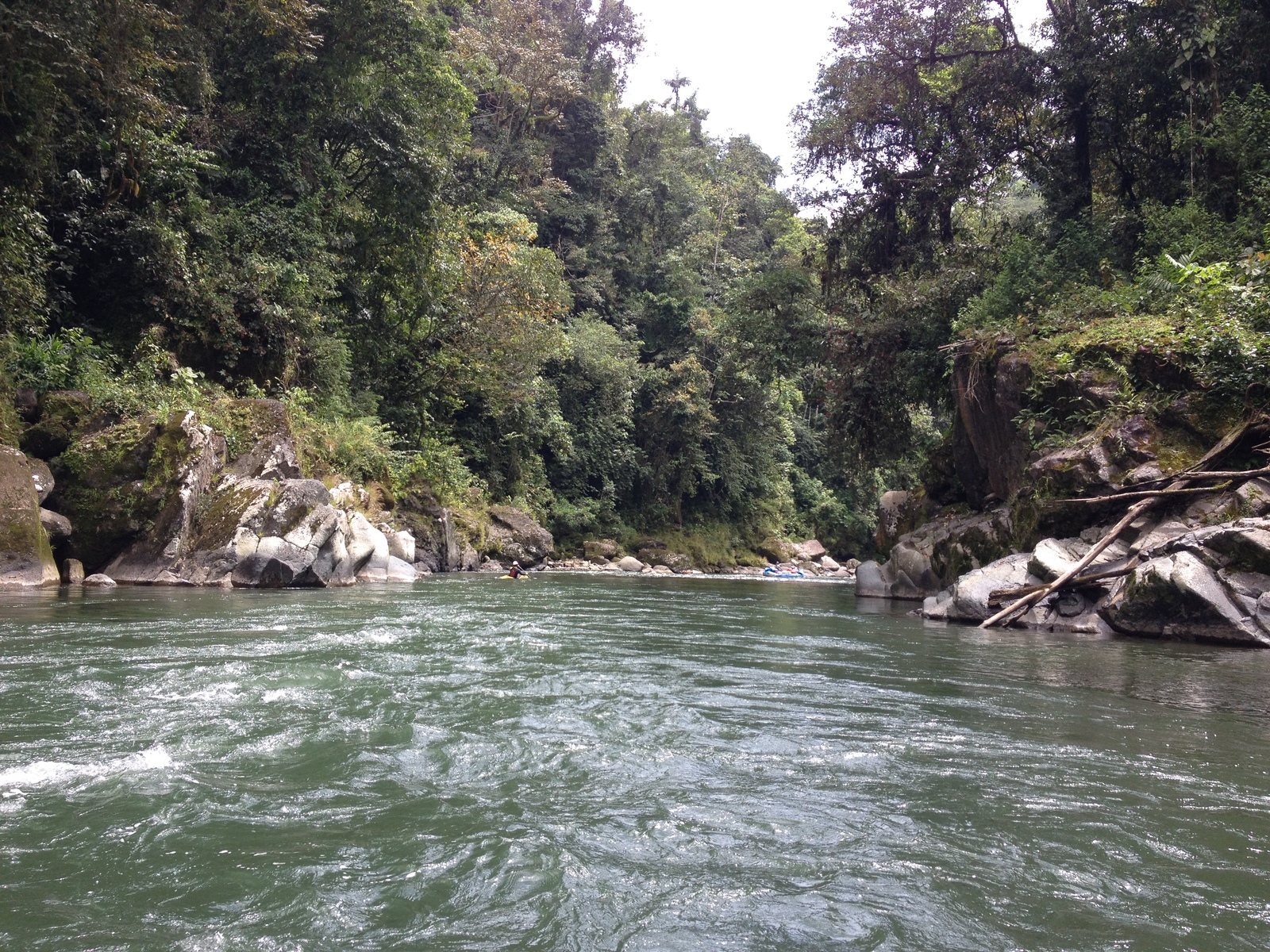รูปถ่าย คอสตาริกา(Costa Rica) แม่น้ำปากัวเร(Pacuare River) 2015-03 203