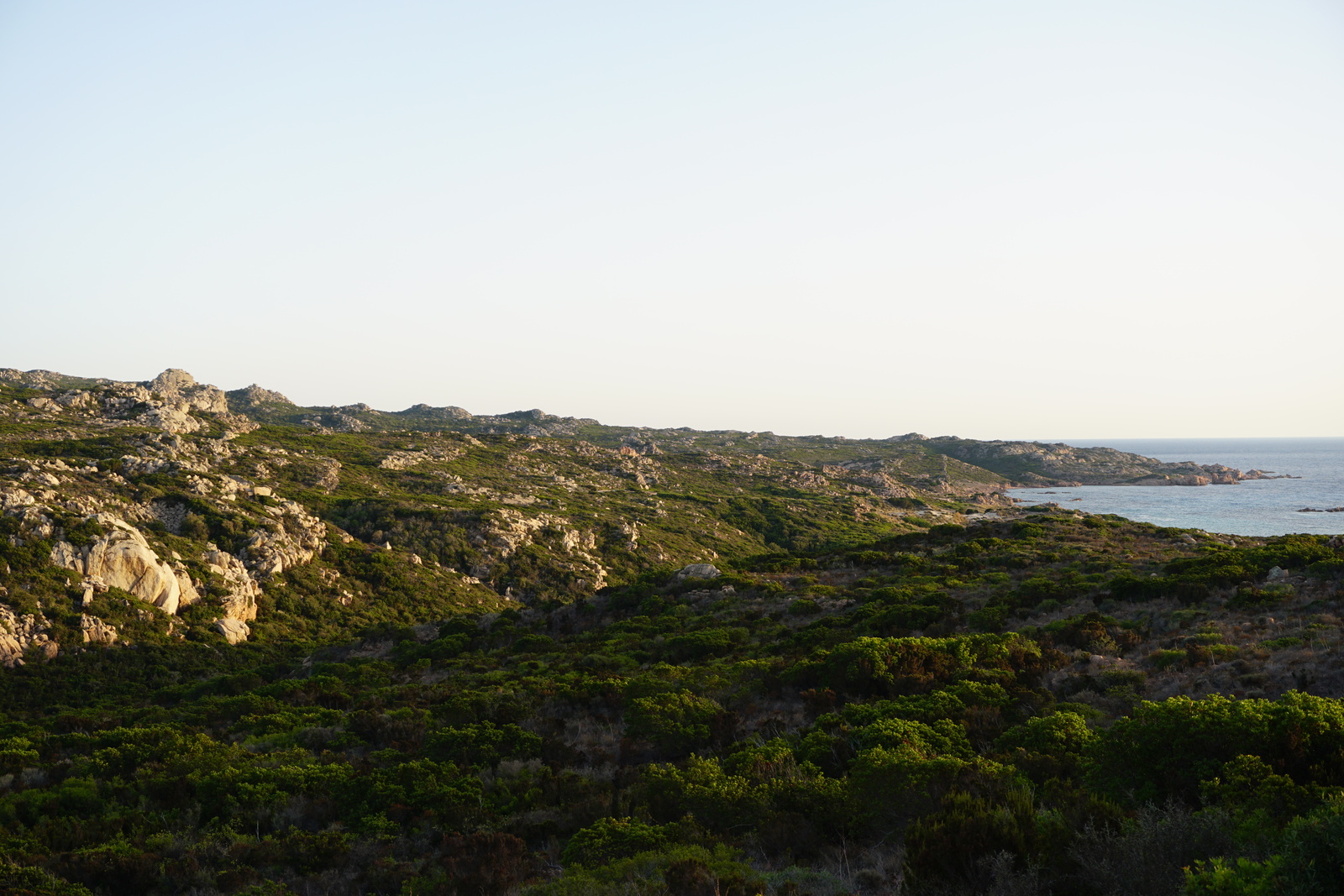 รูปถ่าย ฝรั่งเศส(France) คอร์สิคา(Corsica) หาดตอนนารา(Tonnara Beach) 2017-07 21