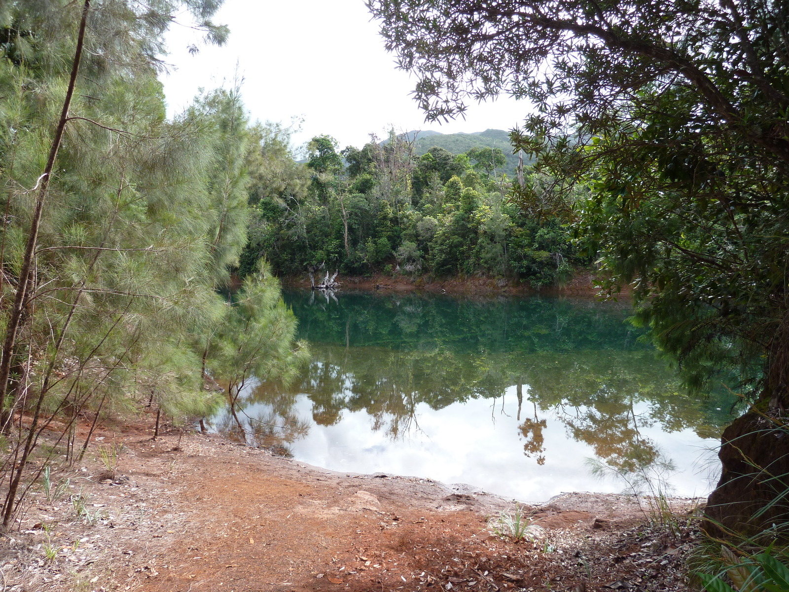 รูปถ่าย นิวแคลิโดเนีย(New Caledonia) อุทยานริเวียร์เบลอ(Parc de la Riviere Bleue) 2010-05 2