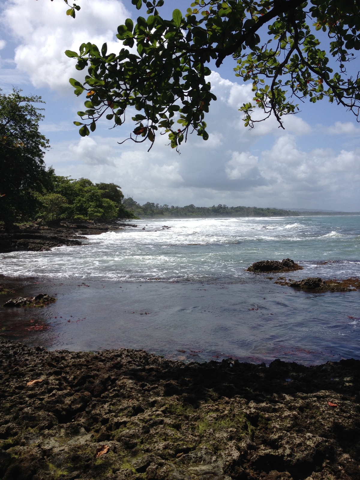 รูปถ่าย คอสตาริกา(Costa Rica) กาอุยตา(Cahuita) 2015-03 60