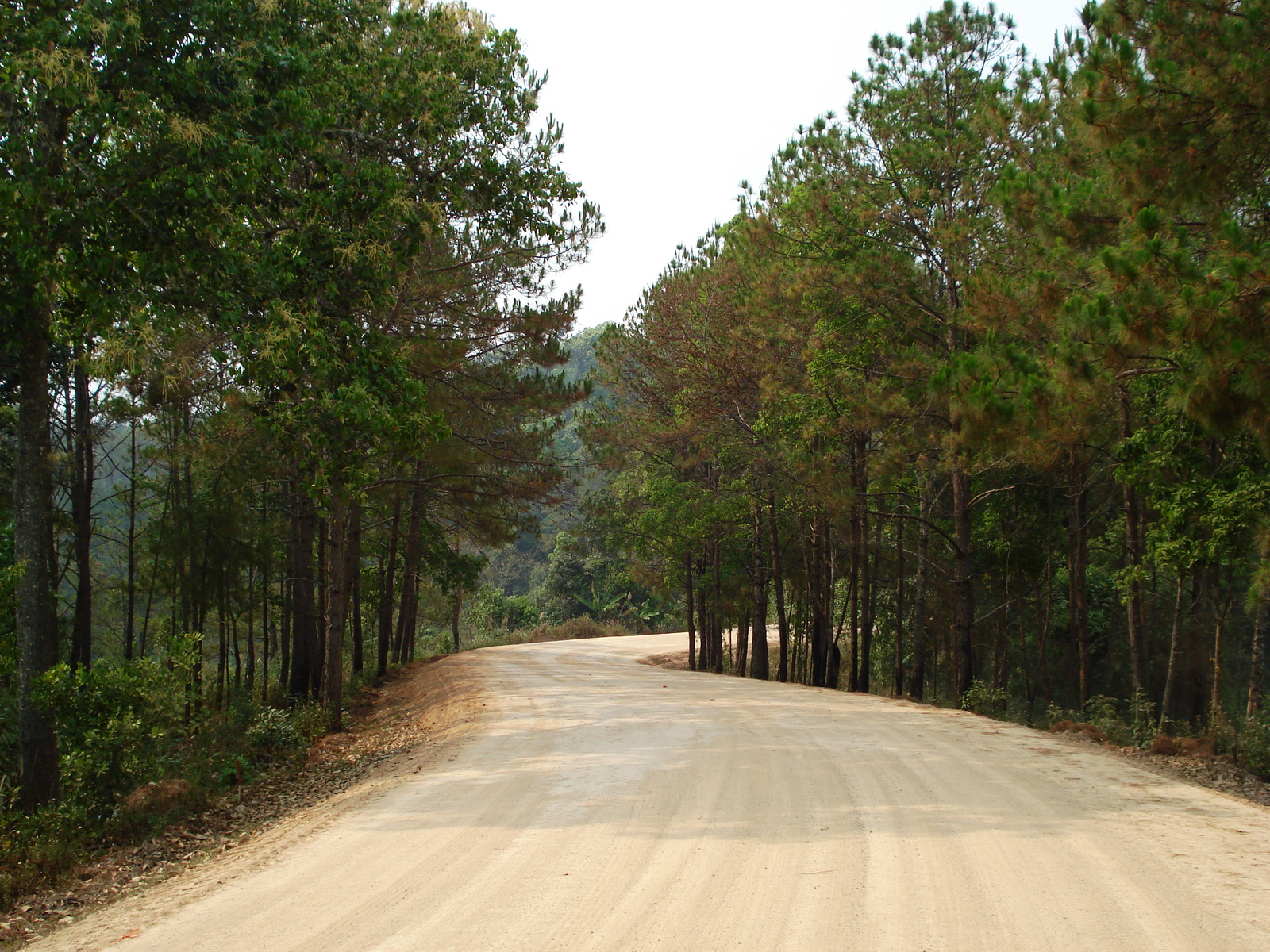 รูปถ่าย ไทย(Thailand) ถนนจากเชียงใหม่ไปปาย(Chiang Mai to Pai road) 2007-02 77