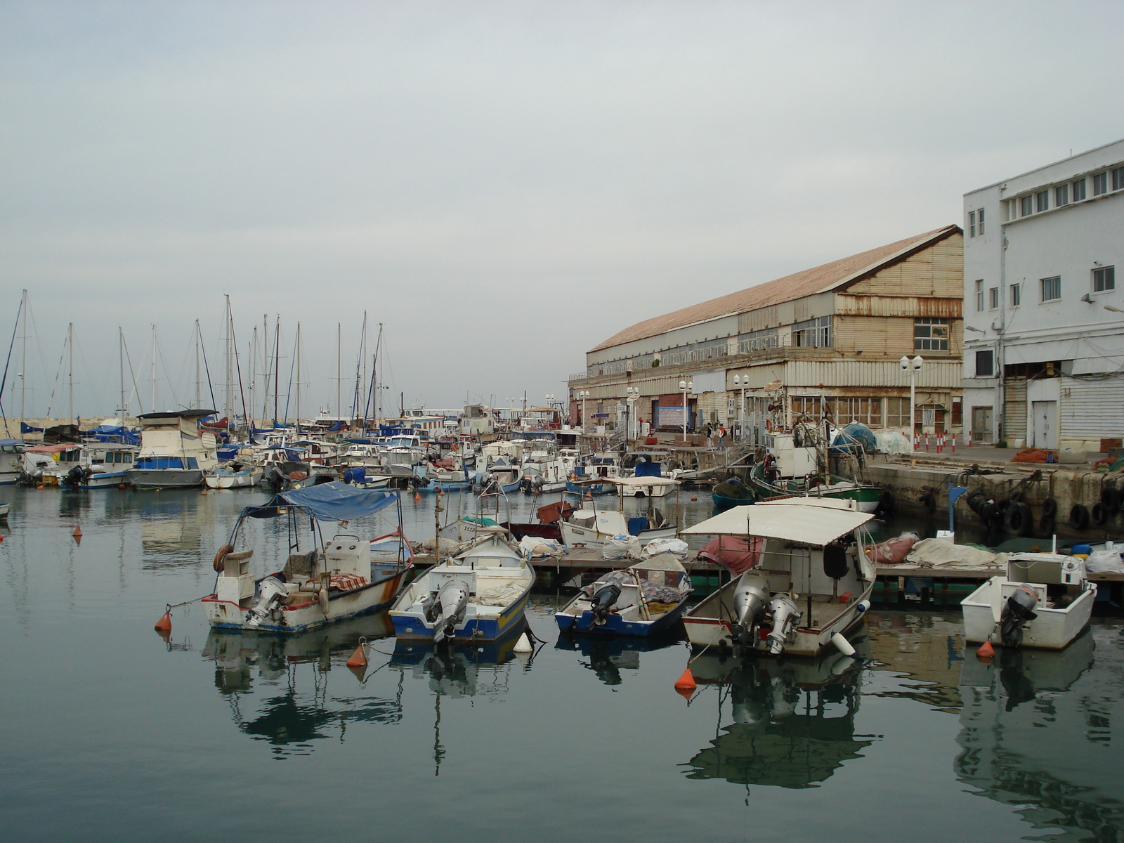 รูปถ่าย อิสราเอล(Israel) จาฟา(Jaffa) 2006-12 251