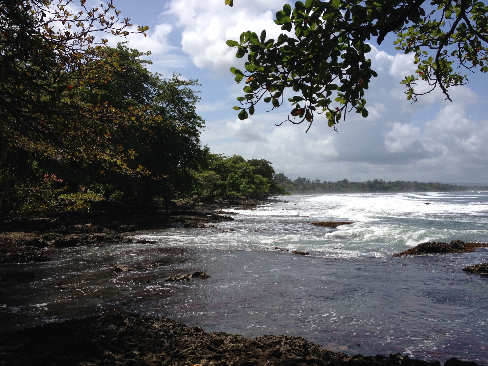รูปถ่าย คอสตาริกา(Costa Rica) กาอุยตา(Cahuita) 2015-03 22