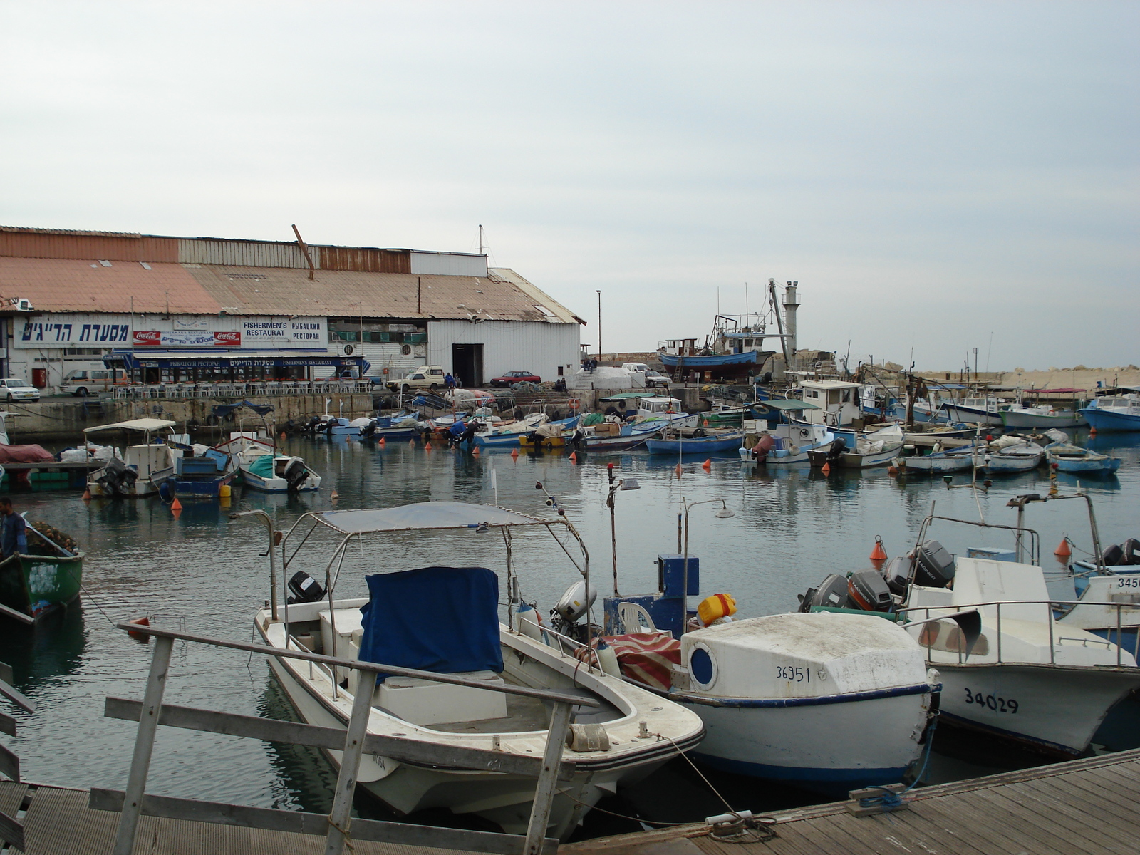 รูปถ่าย อิสราเอล(Israel) จาฟา(Jaffa) 2006-12 24