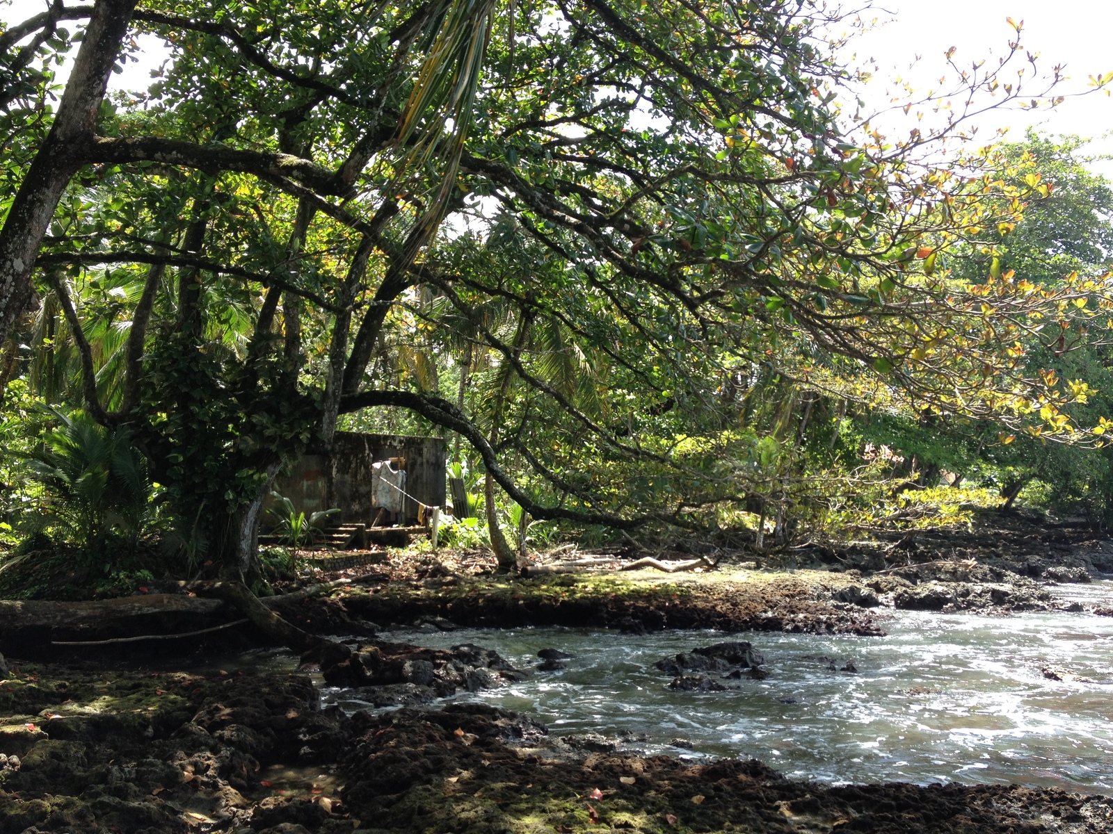 รูปถ่าย คอสตาริกา(Costa Rica) กาอุยตา(Cahuita) 2015-03 35