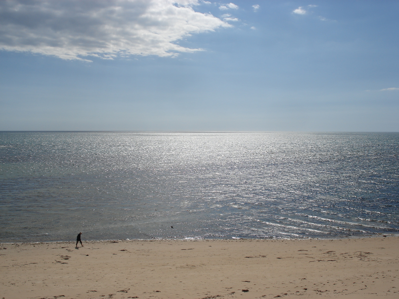 รูปถ่าย ฝรั่งเศส(France) นีวร์มูทีเย(Noirmoutier) 2006-08 23